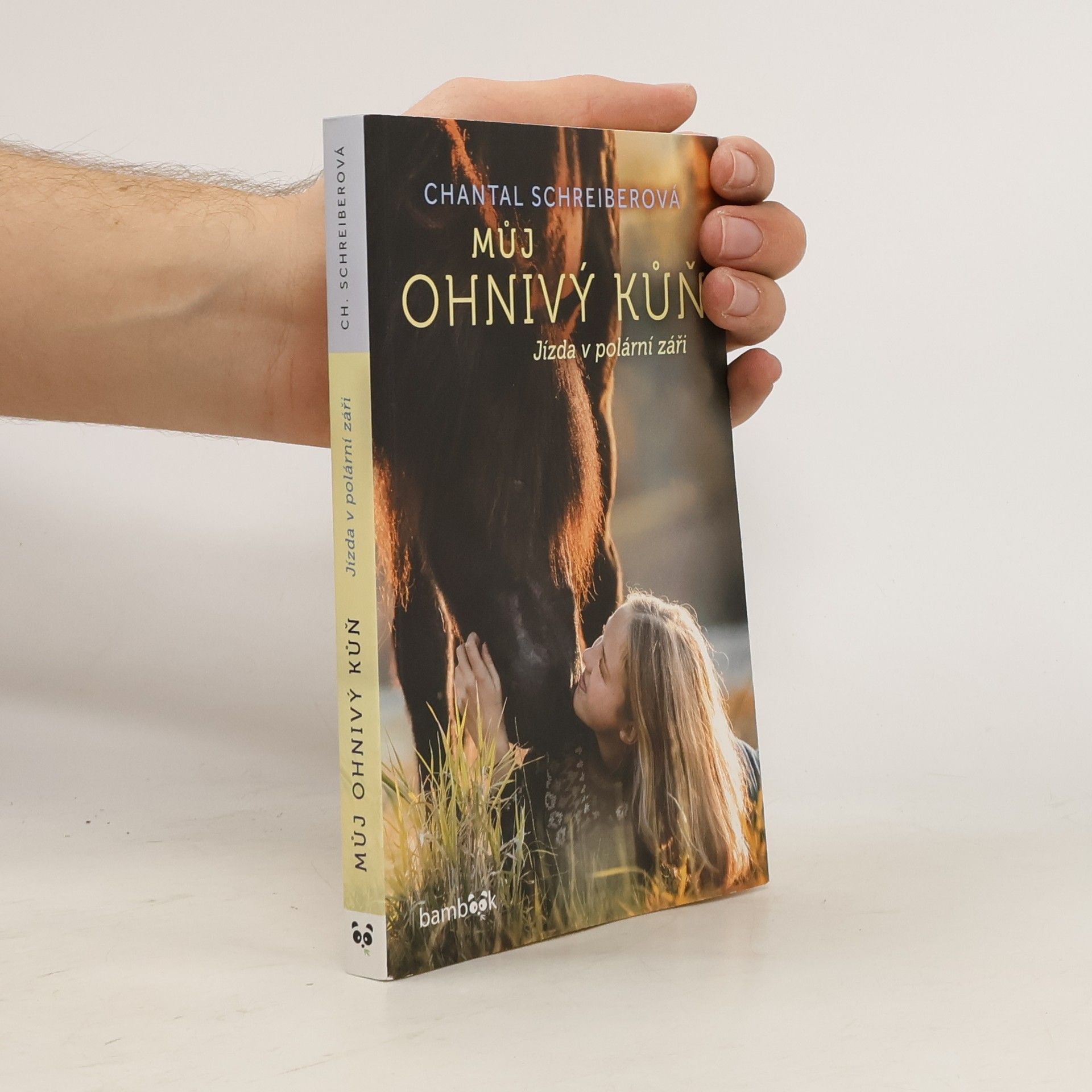 Chantal Schreiber Jízda v polární záři