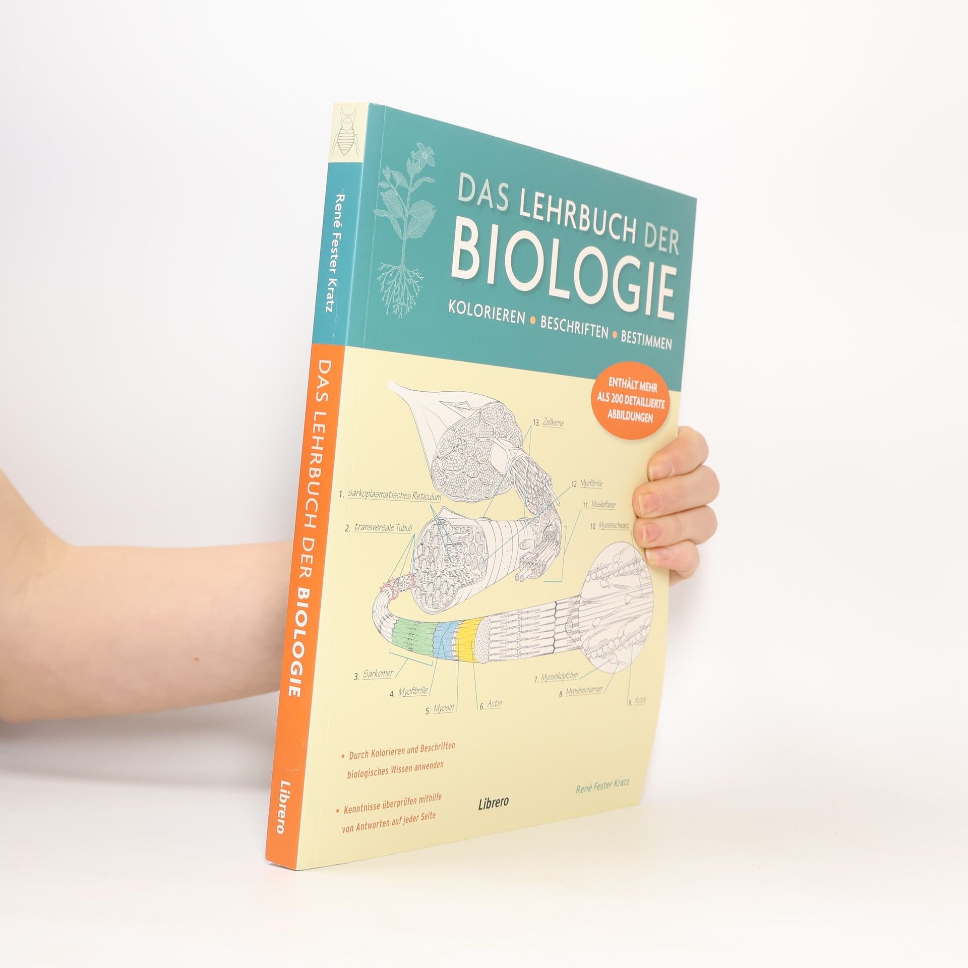 René Fester Kratz Das Lehrbuch der Biologie