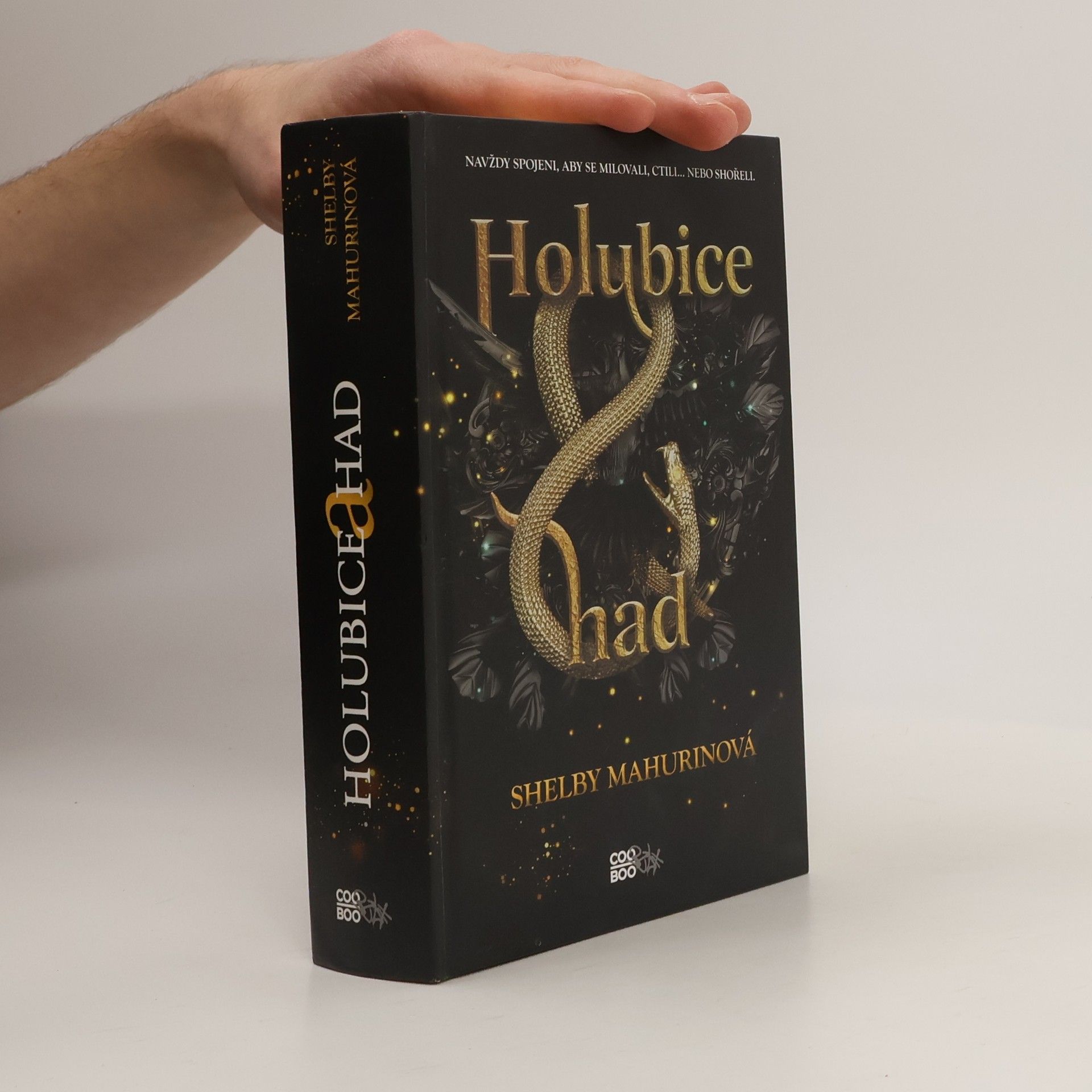 Shelby Mahurin Holubice a had