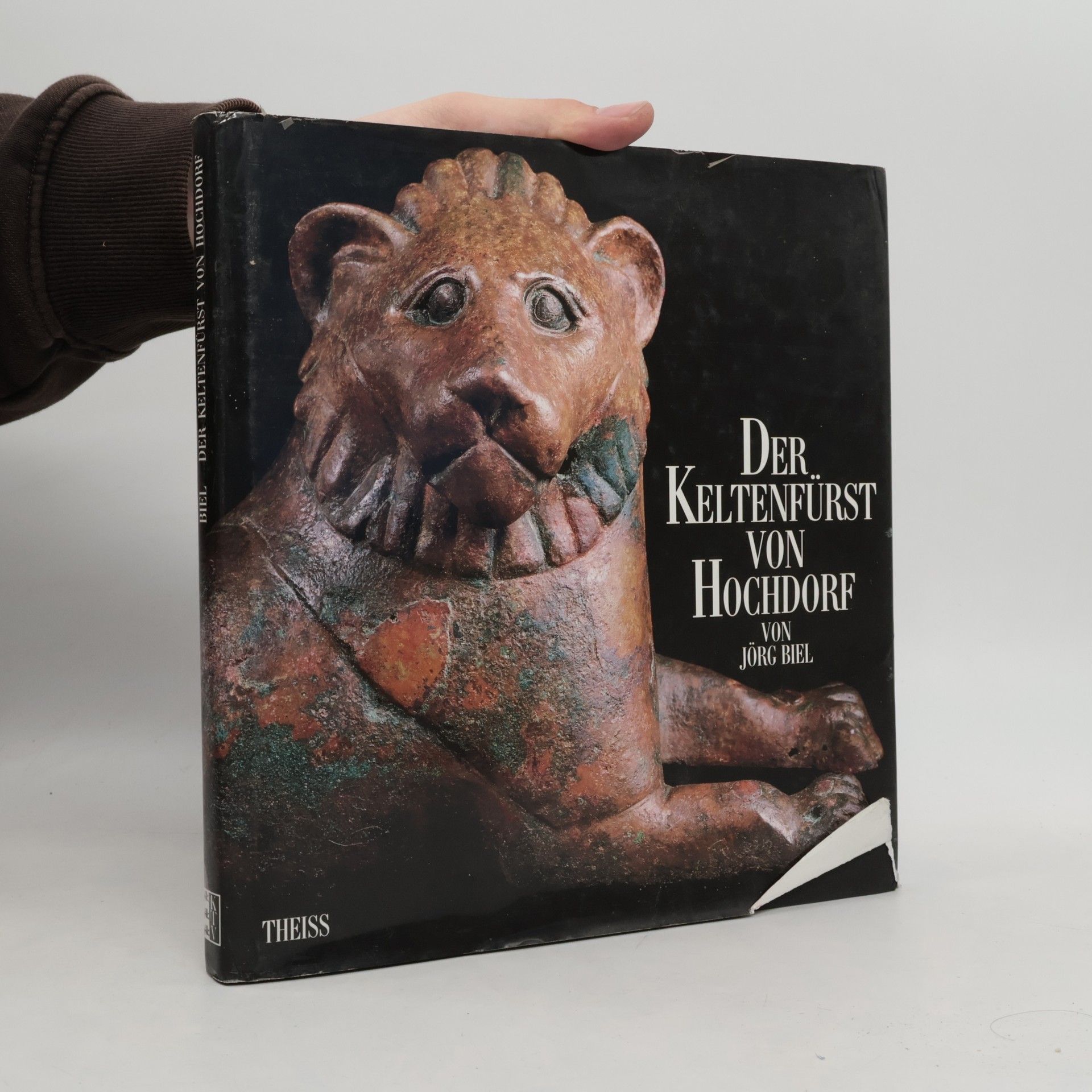 Jörg Biel Der Keltenfürst von Hochdorf