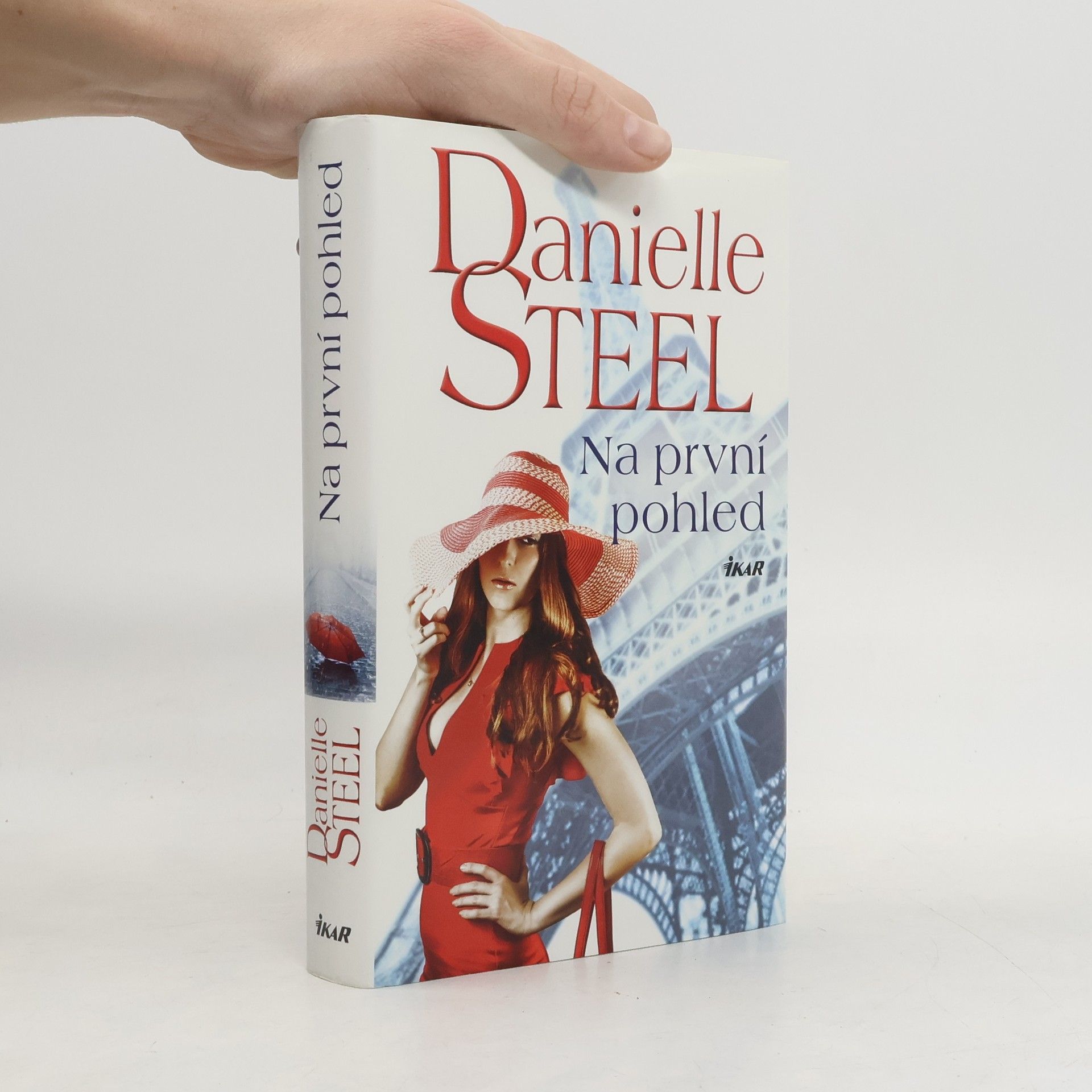 Danielle Steel Na první pohled