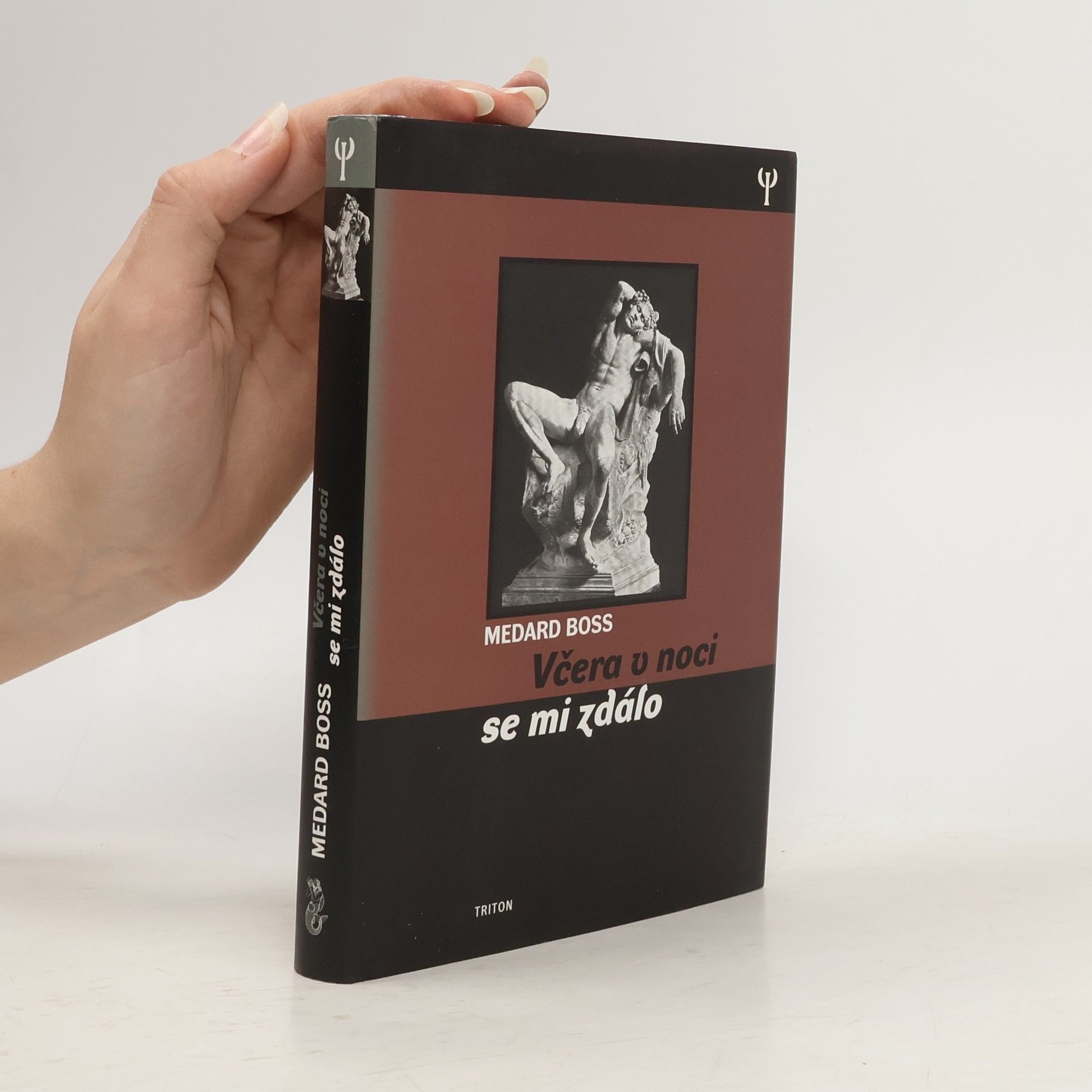 Medard Boss Včera v noci se mi zdálo