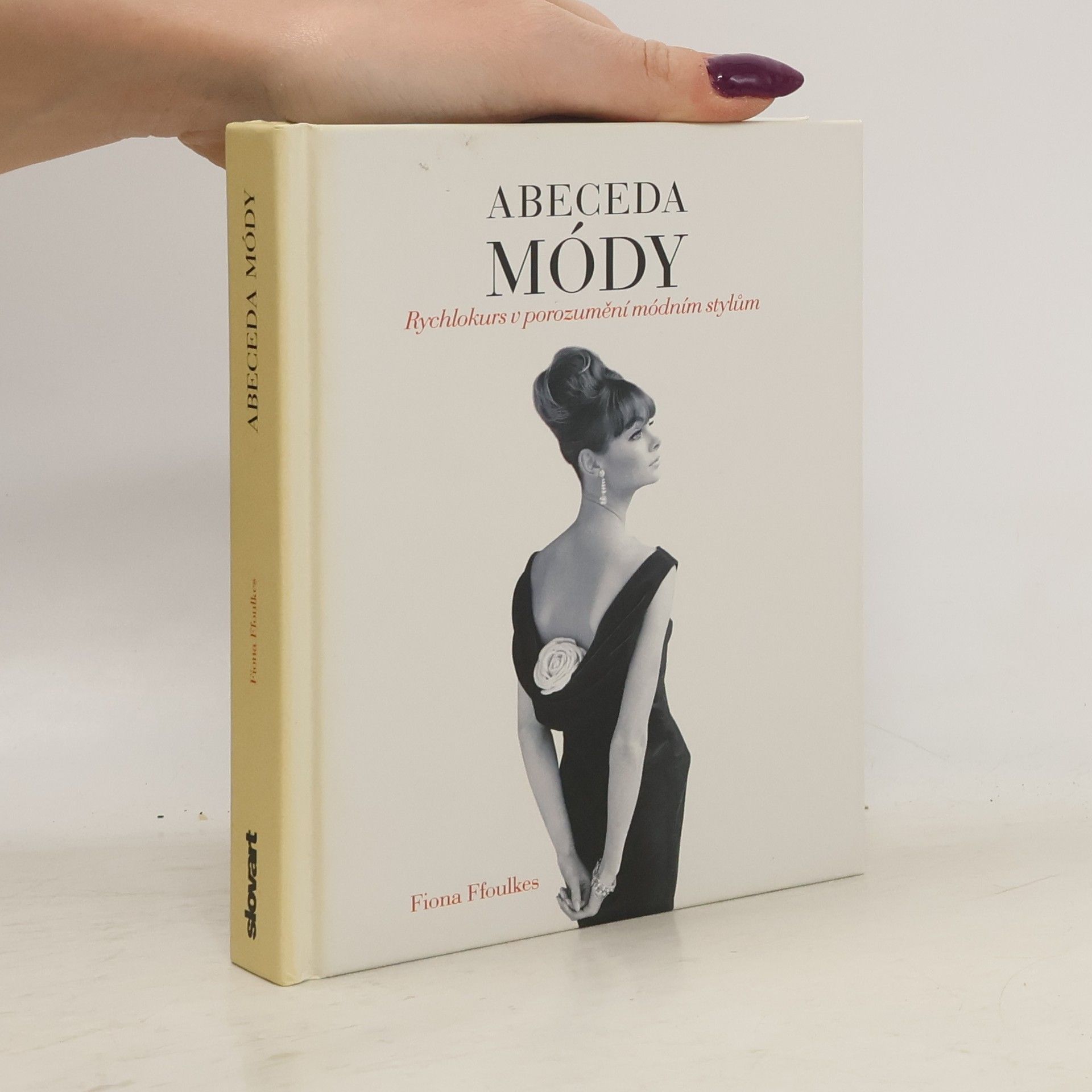 Fiona Ffoulkes Abeceda módy: Rychlokurs v porozumění módním stylům