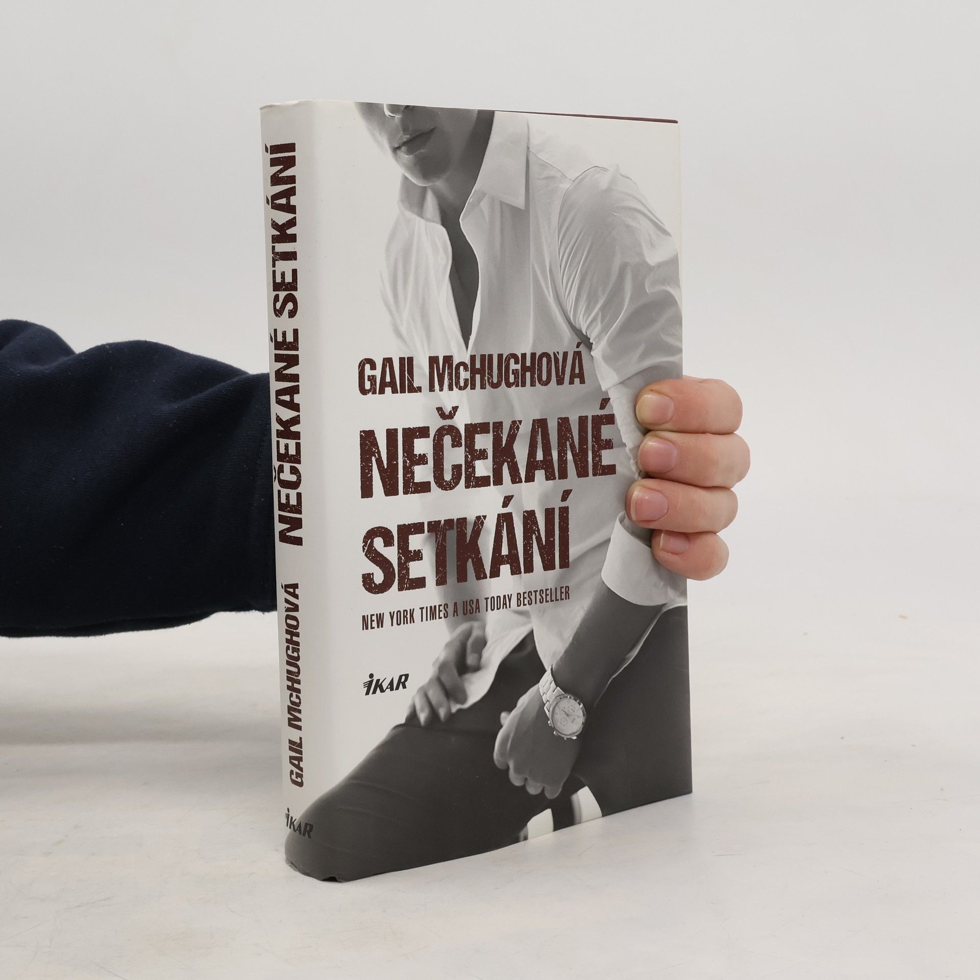 Gail McHugh Nečekané setkání