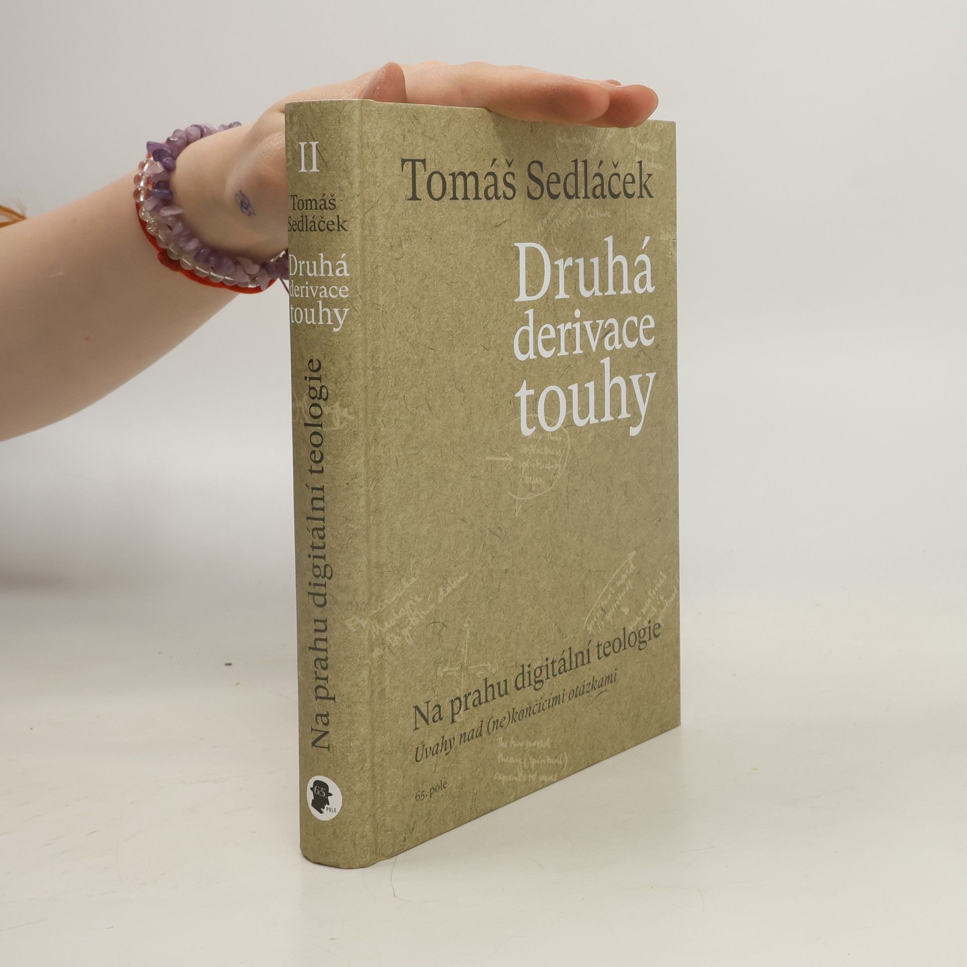 Druhá derivace touhy. Na prahu digitální teologie : úvahy nad (ne)končícími otázkami
