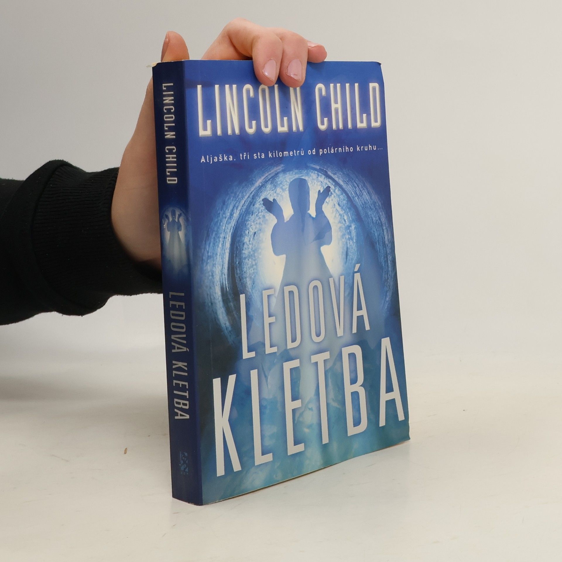 Lincoln Child Ledová kletba