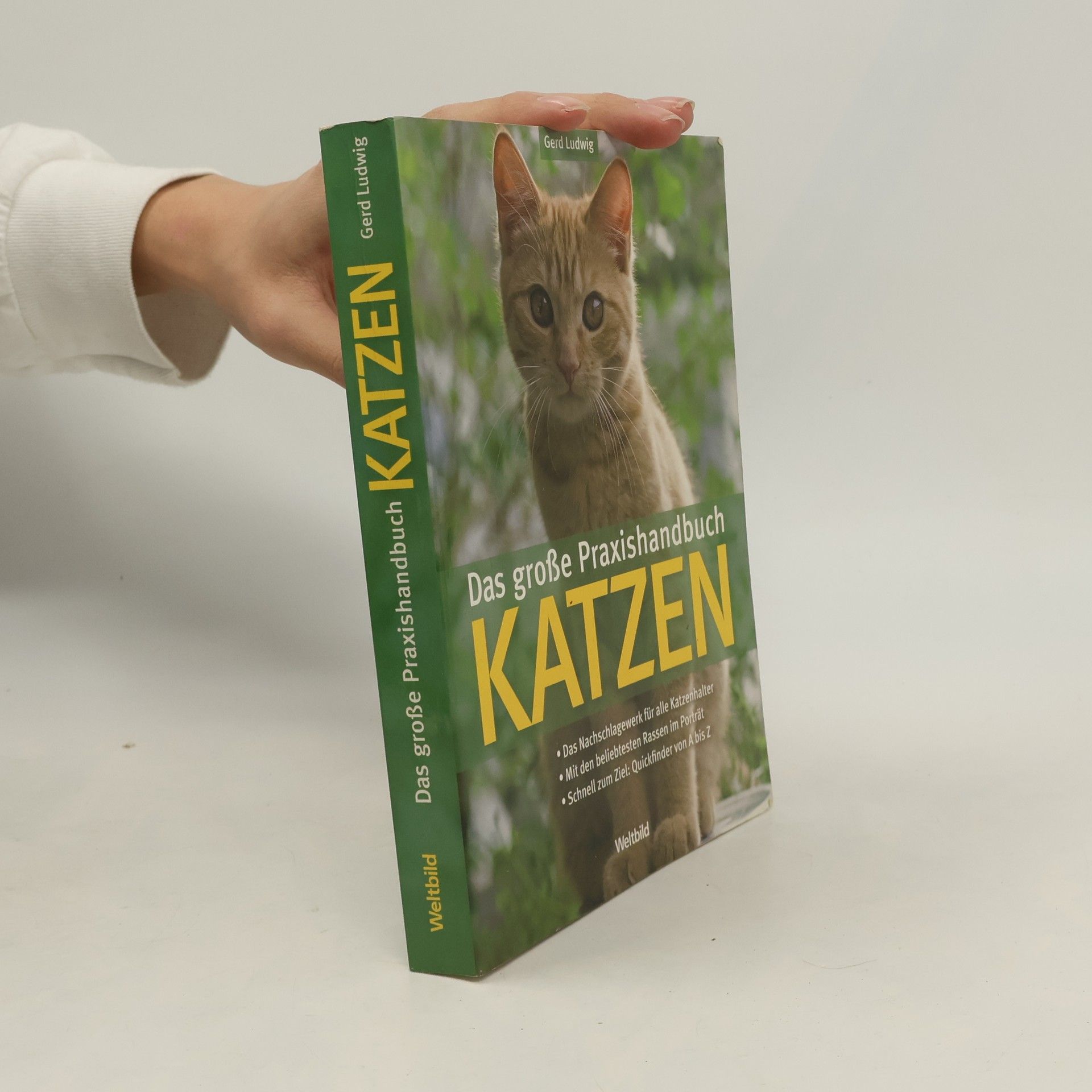 Gerd Ludwig Das große Praxishandbuch Katzen