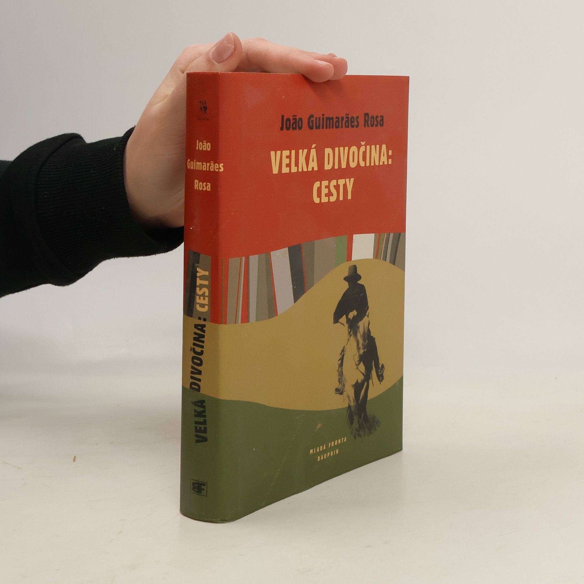 Guimarães Rosa Velká divočina: Cesty