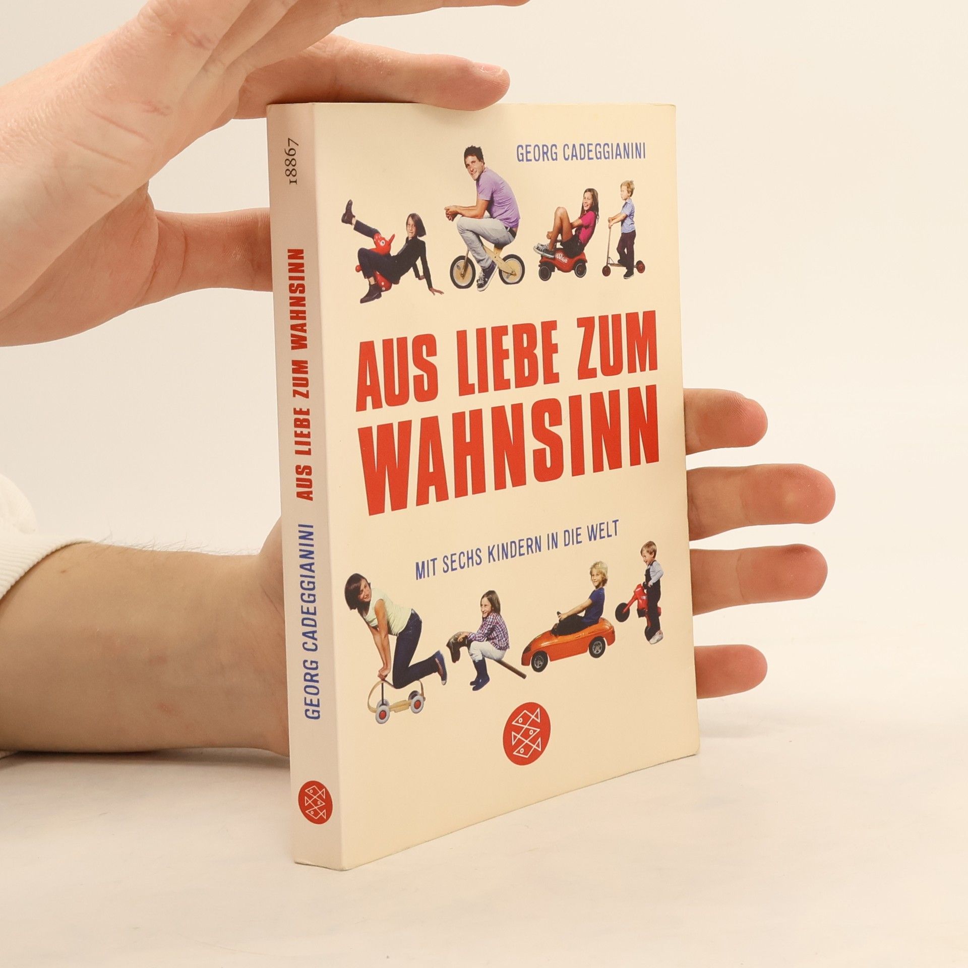 Georg Cadeggianini Aus Liebe zum Wahnsinn