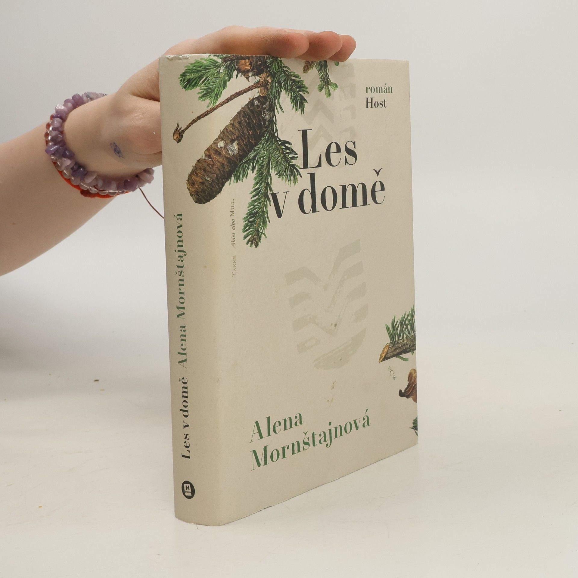 Alena Mornštajnová Les v domě