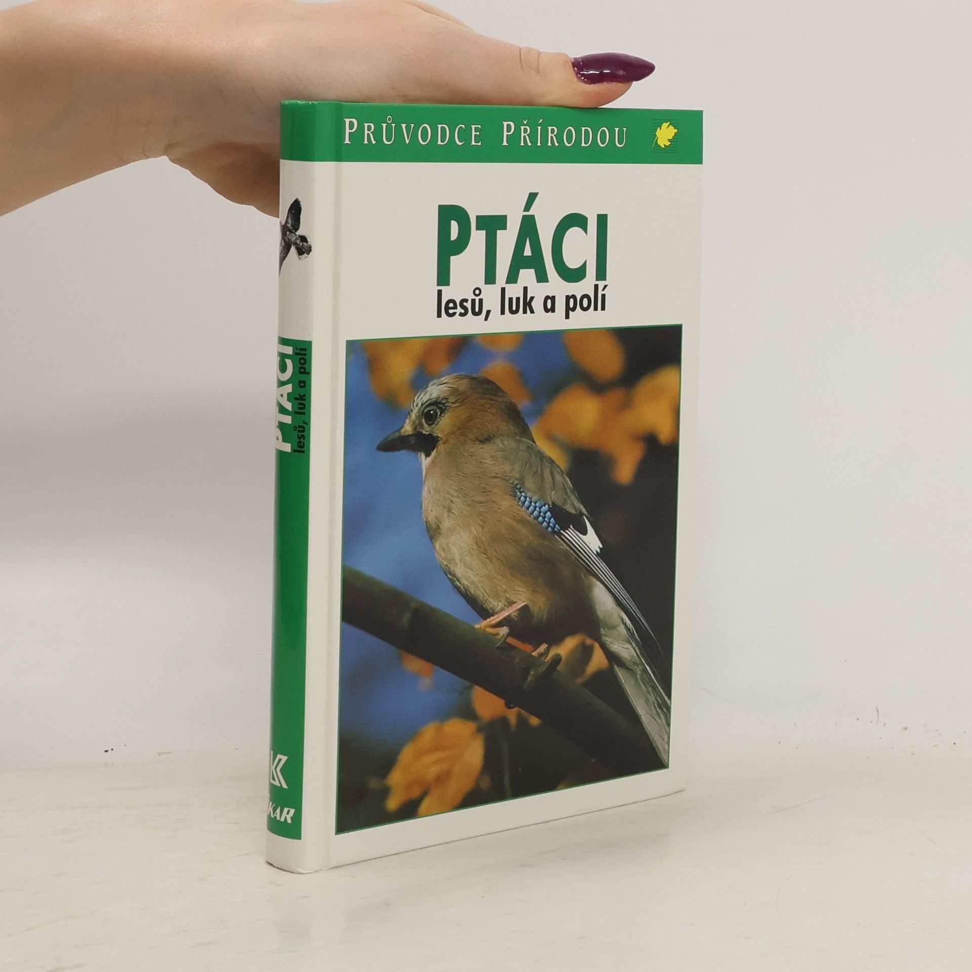 Friedhelm Sauer Ptáci lesů, luk a polí