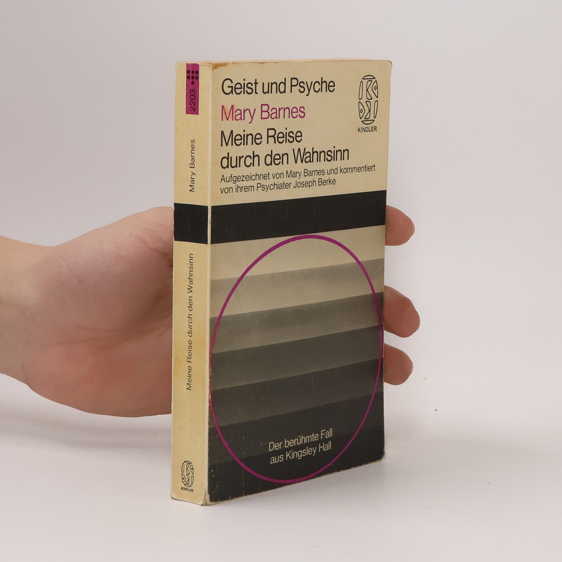 Mary Barnes Meine Reise durch den Wahnsinn