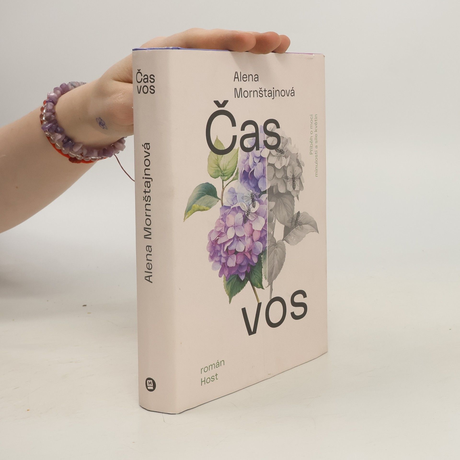 Alena Mornštajnová Čas vos