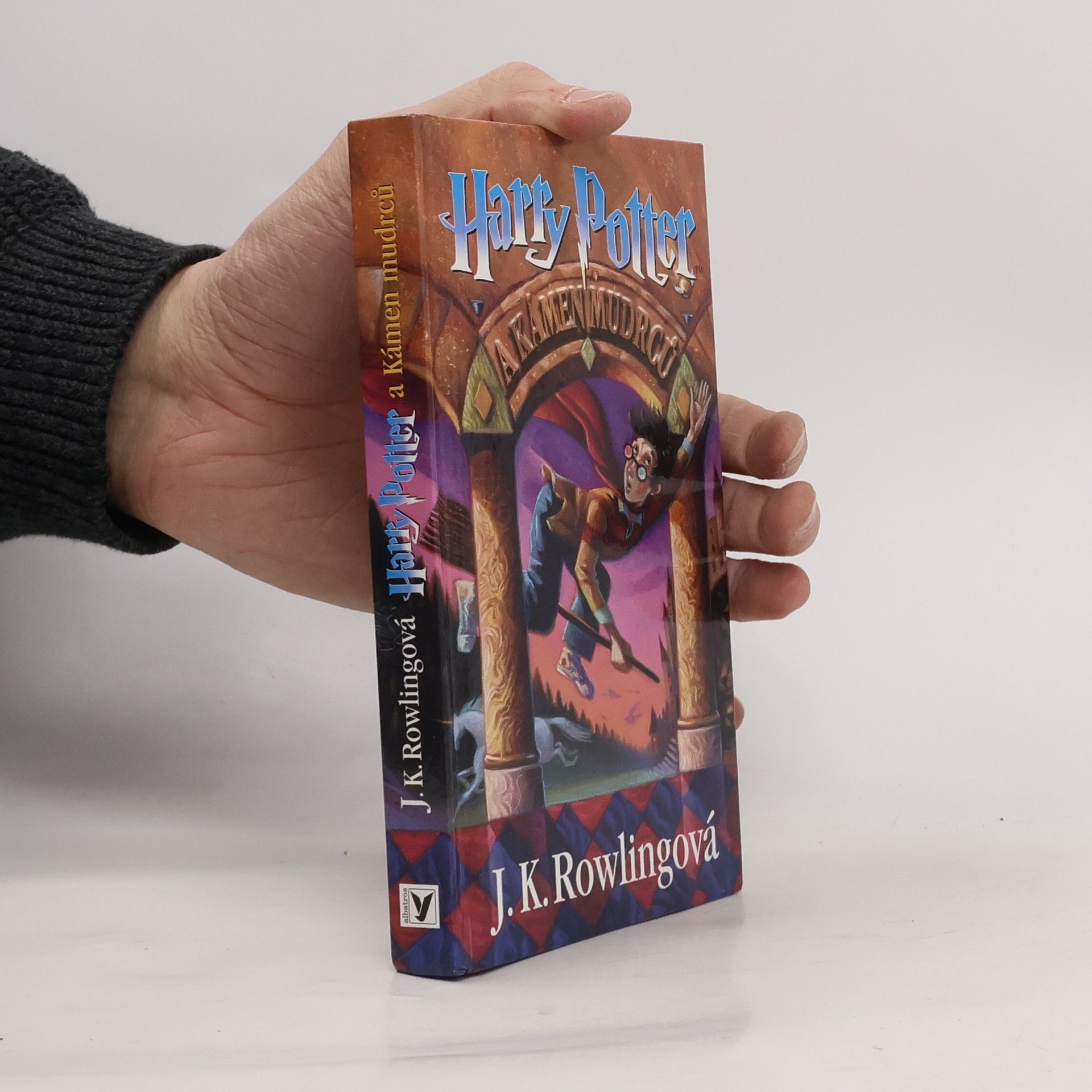 Harry Potter a kámen mudrců