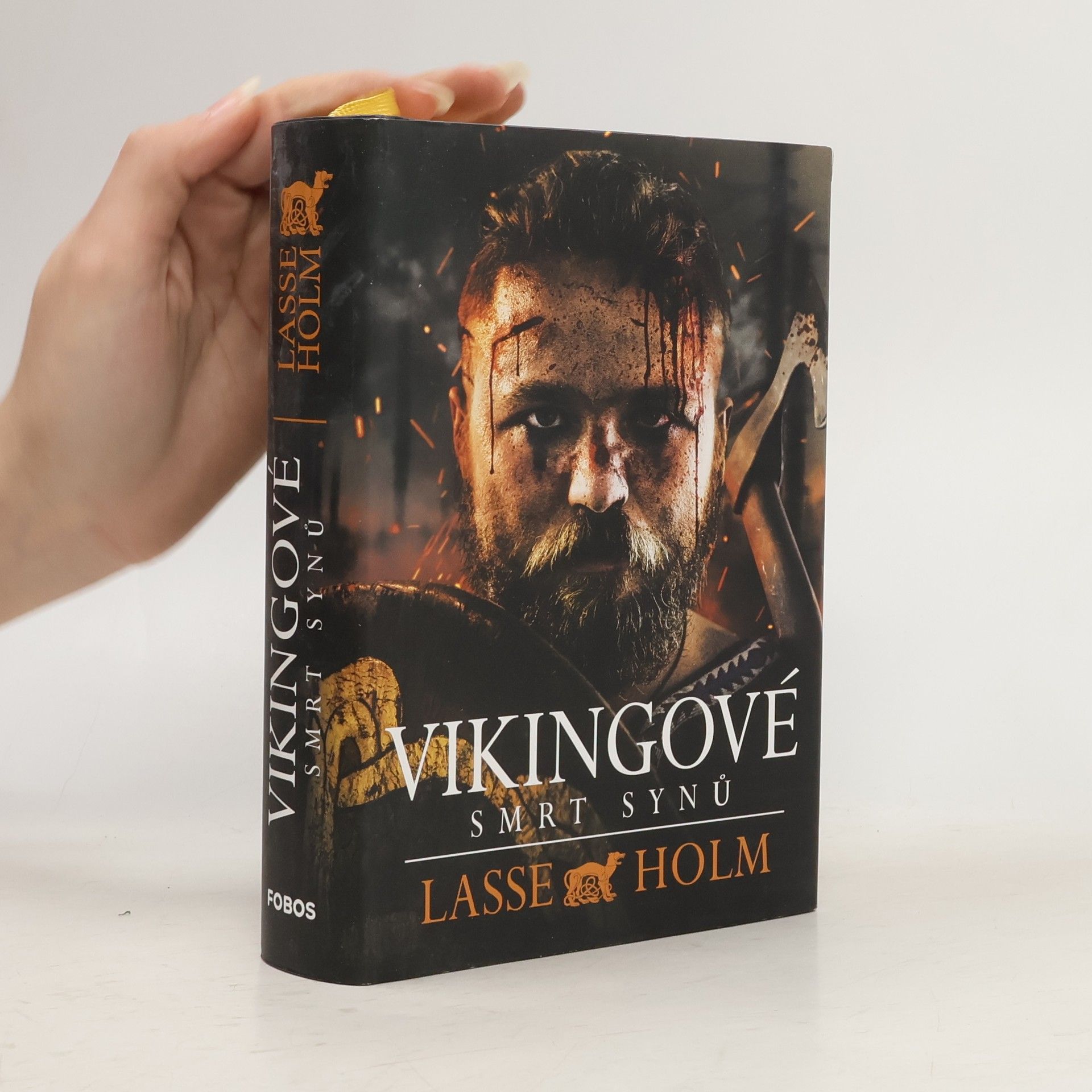 Lasse Holm Vikingové. Smrt synů