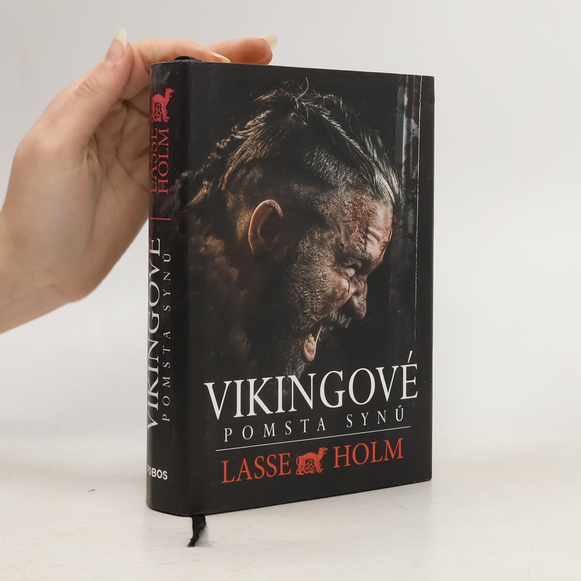 Lasse Holm Vikingové. Pomsta synů