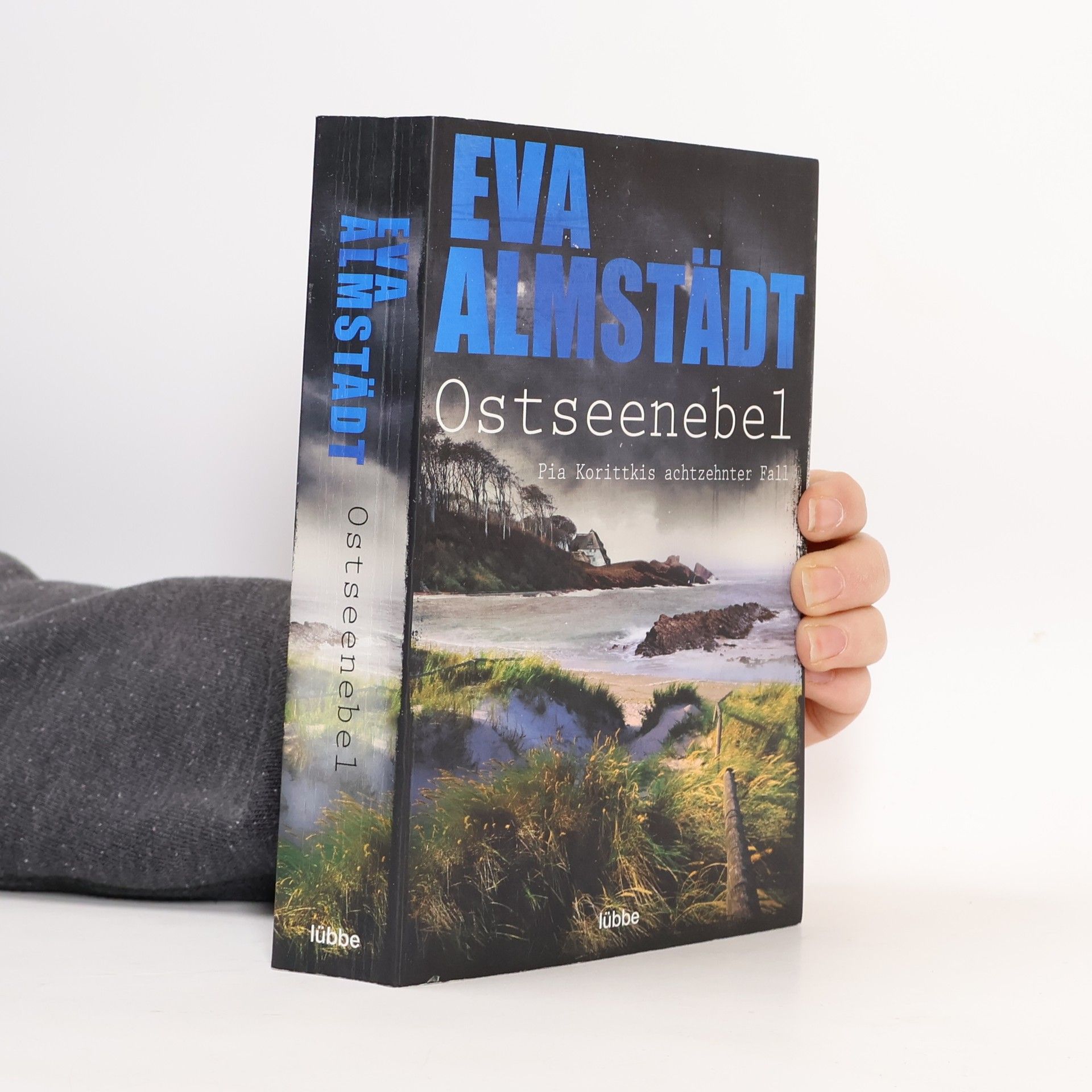 Eva Almstädt Ostseenebel