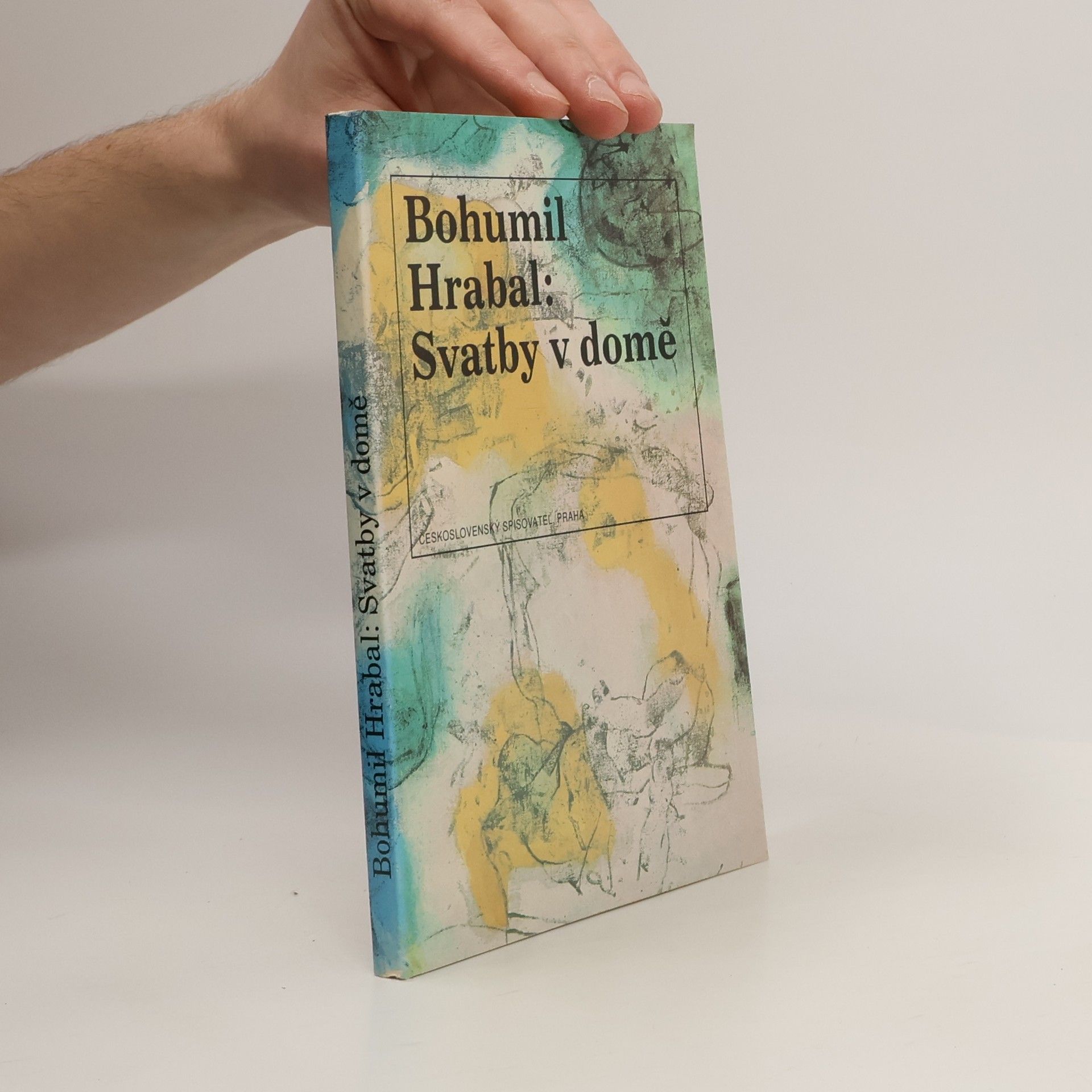 Svatby v domě. Dívčí románek. 1. díl trilogie