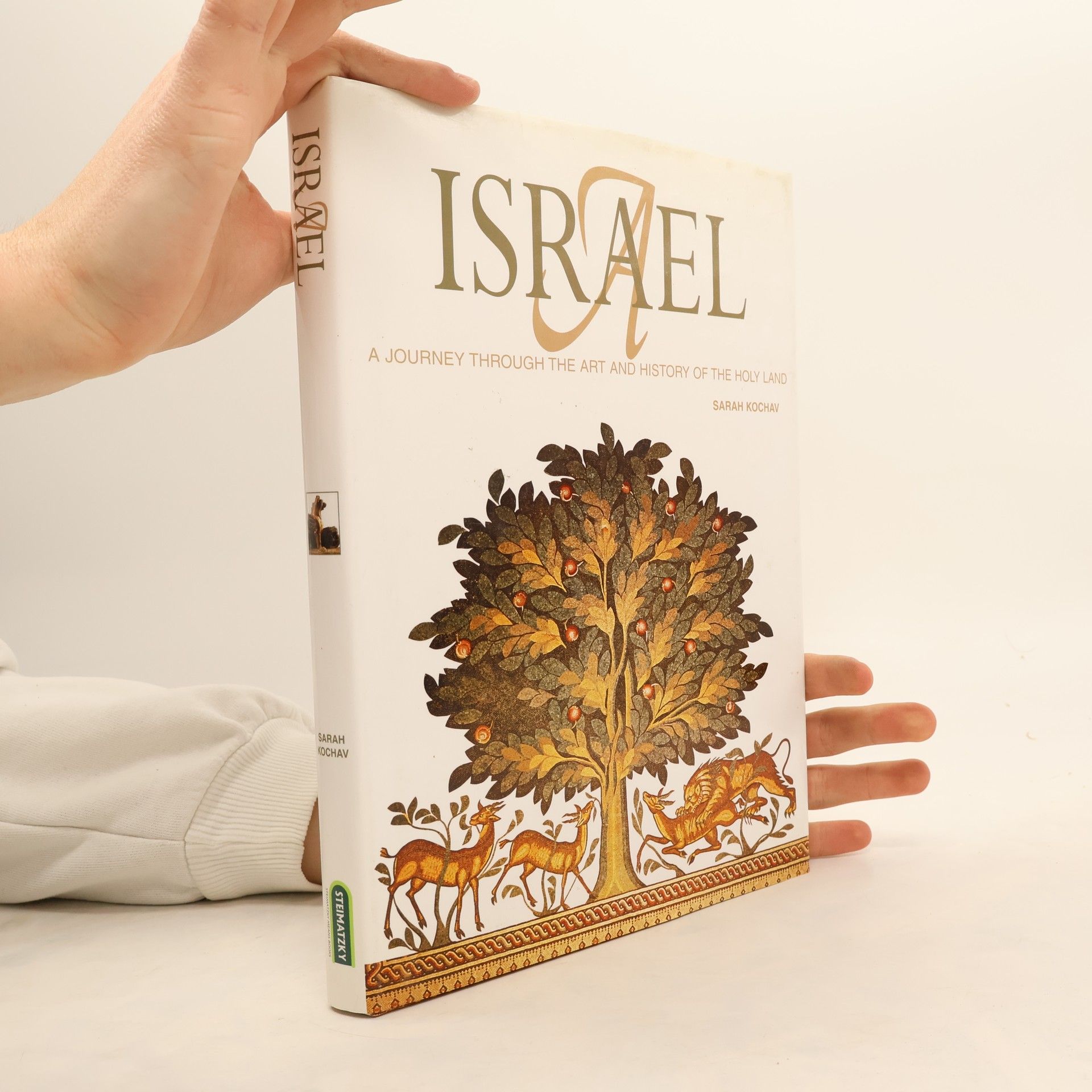 Israel -- A Journey Through the Art and History of the Holy Land