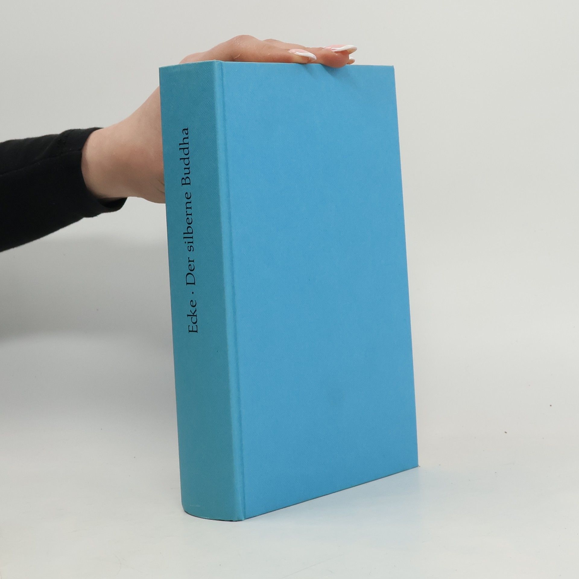Wolfgang Ecke Der silberne Buddha