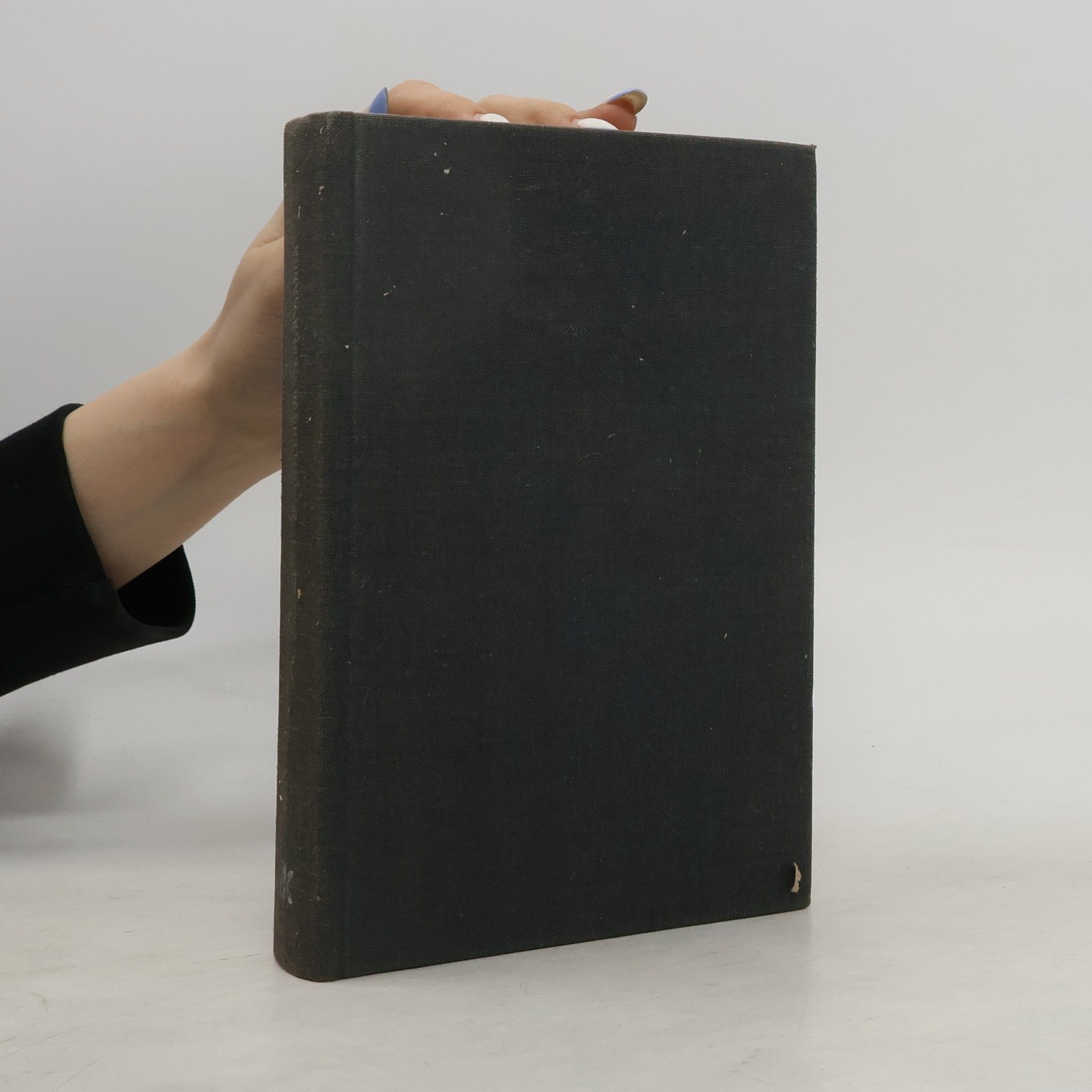 Karol Grünberg SS. Hitlerova černá garda