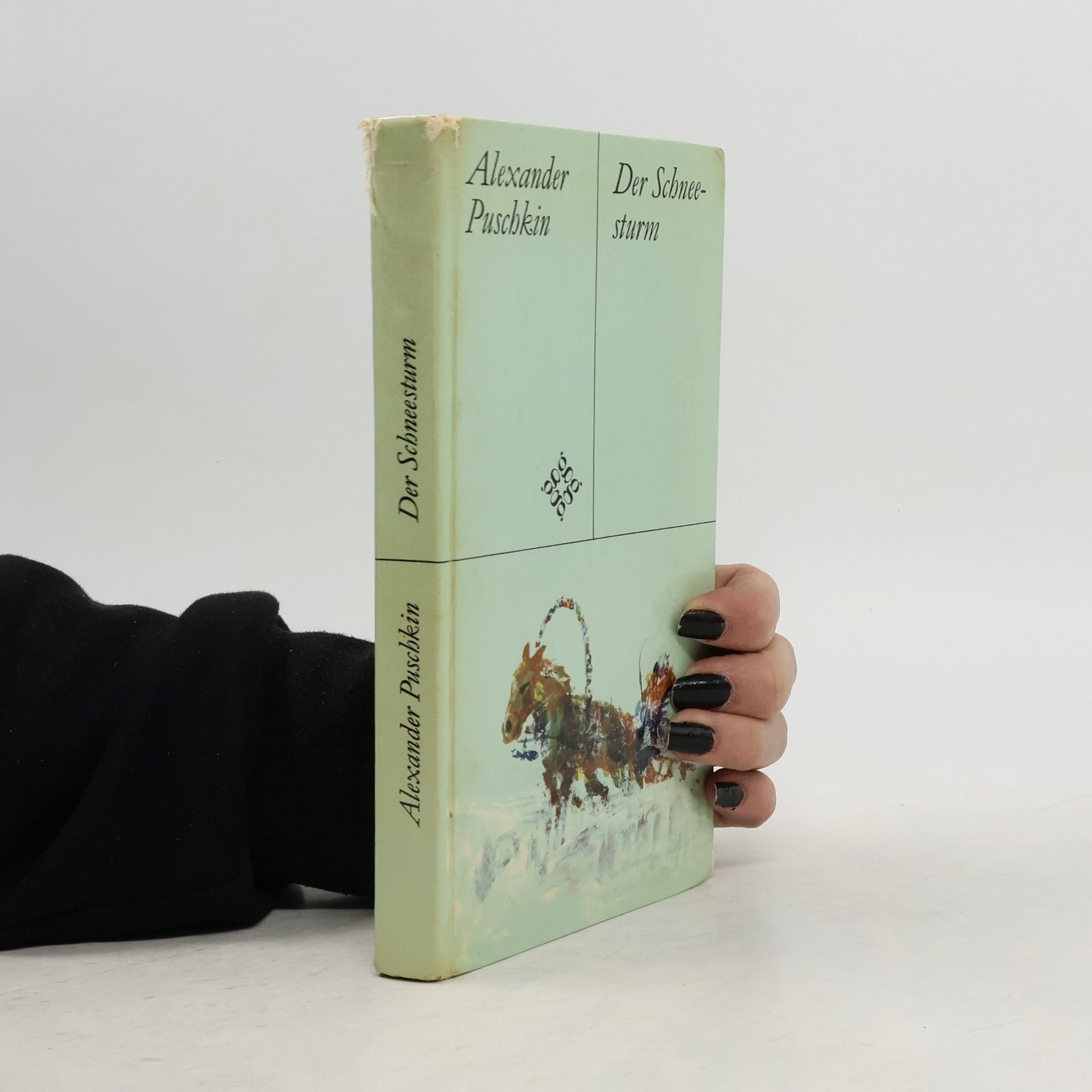 Alexandr Sergejevič Puškin Der Schneesturm