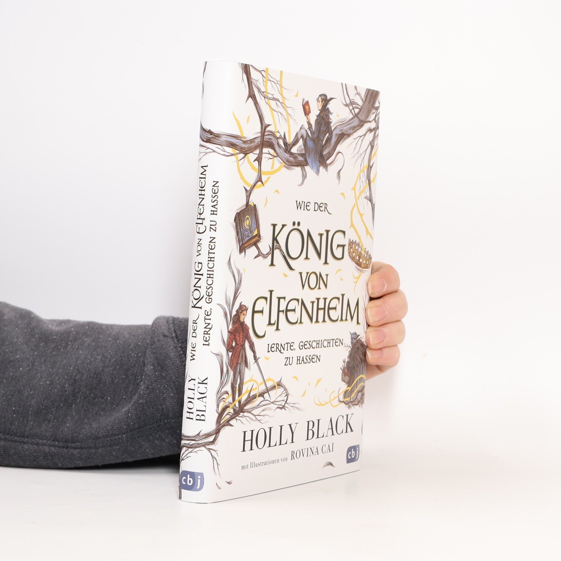 Holly Black Wie der König von Elfenheim lernte, Geschichten zu hassen