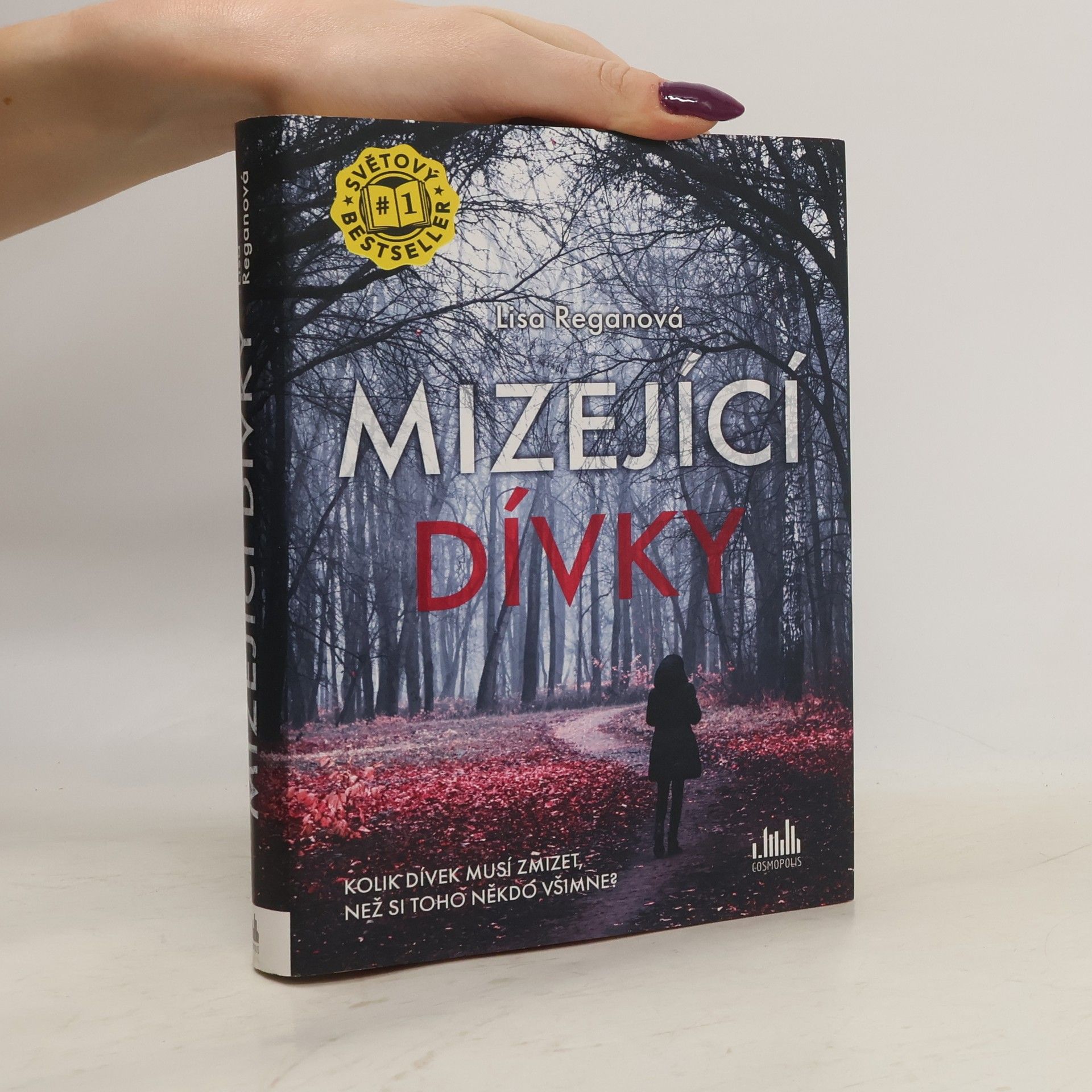 Lisa Regan Mizející dívky