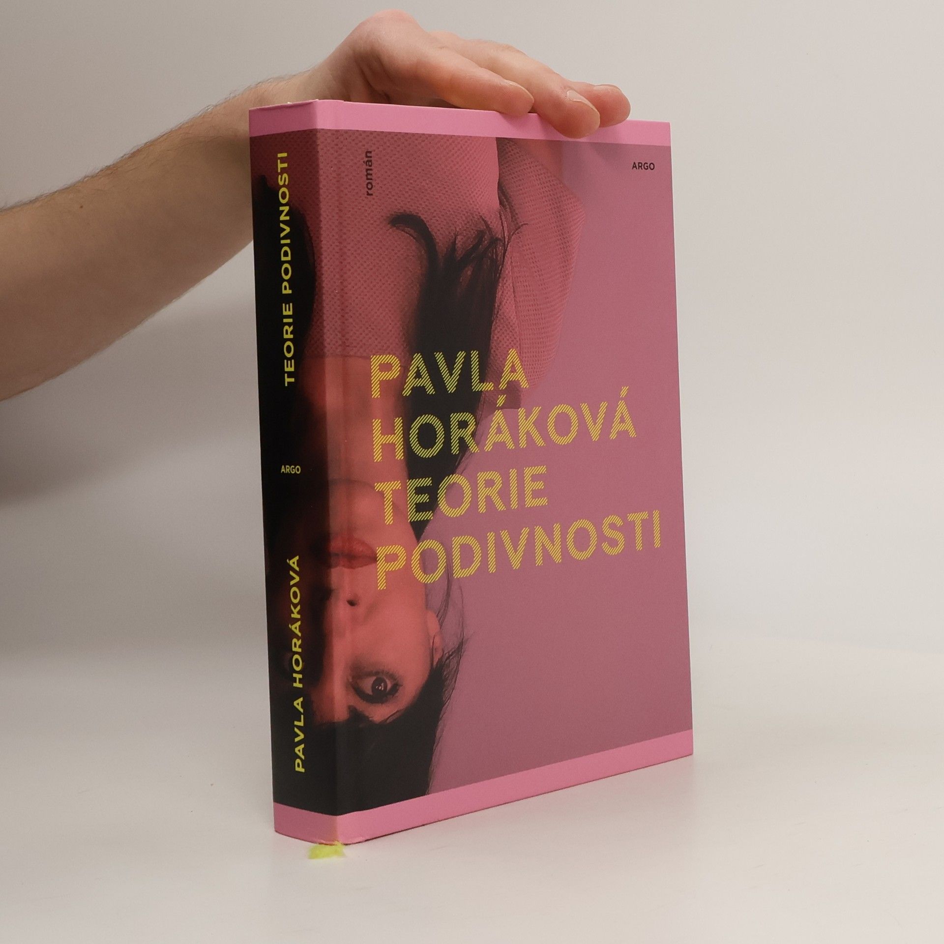 Pavla Horáková Teorie podivnosti