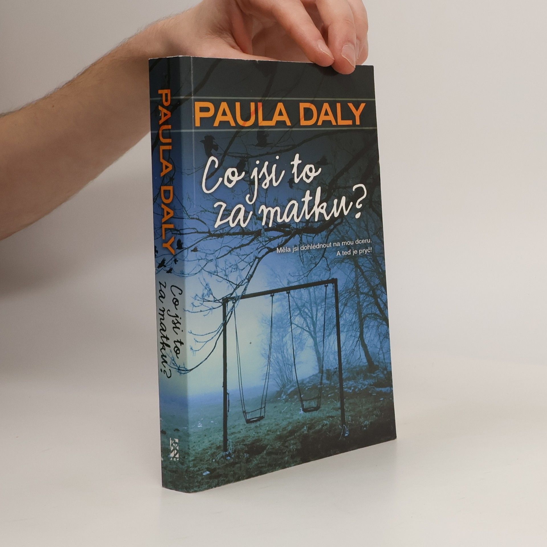 Paula Daly Co jsi to za matku?