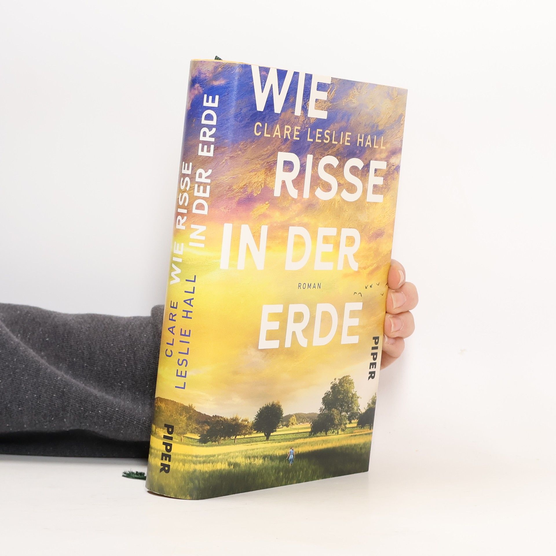 Clare Leslie Hall Wie Risse in der Erde