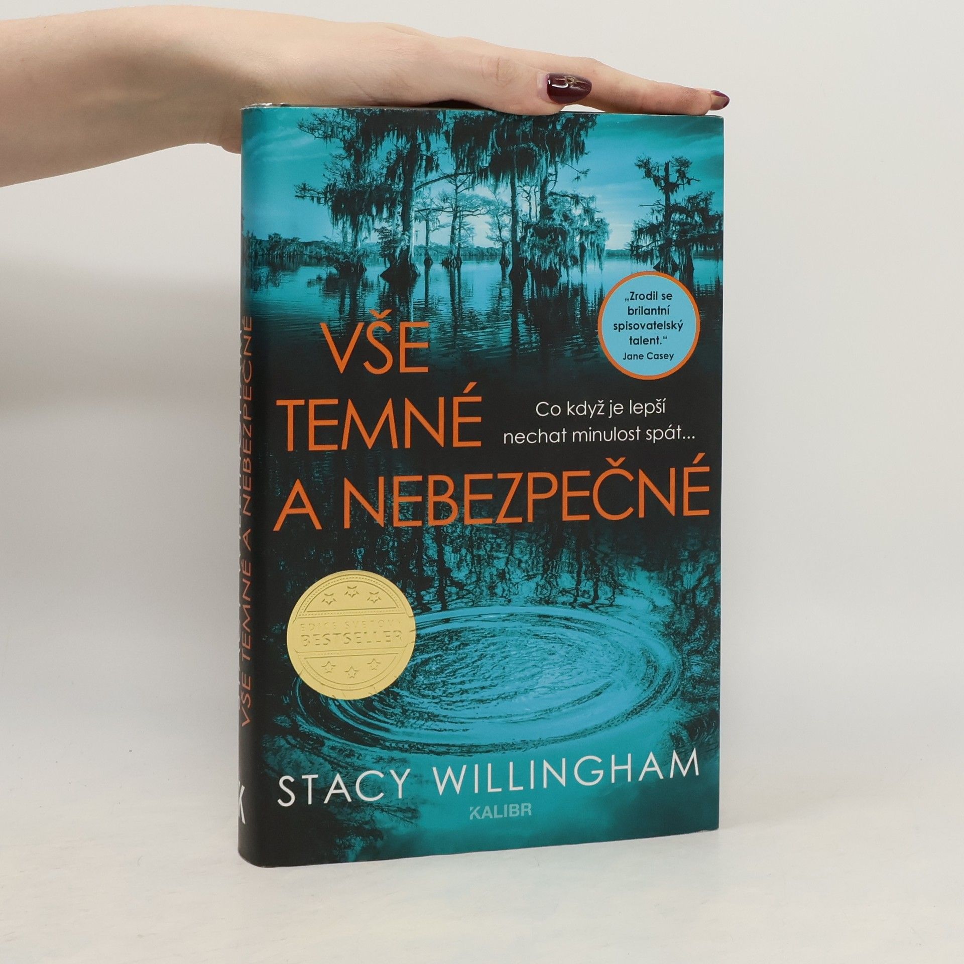 Stacy Willingham Vše temné a nebezpečné