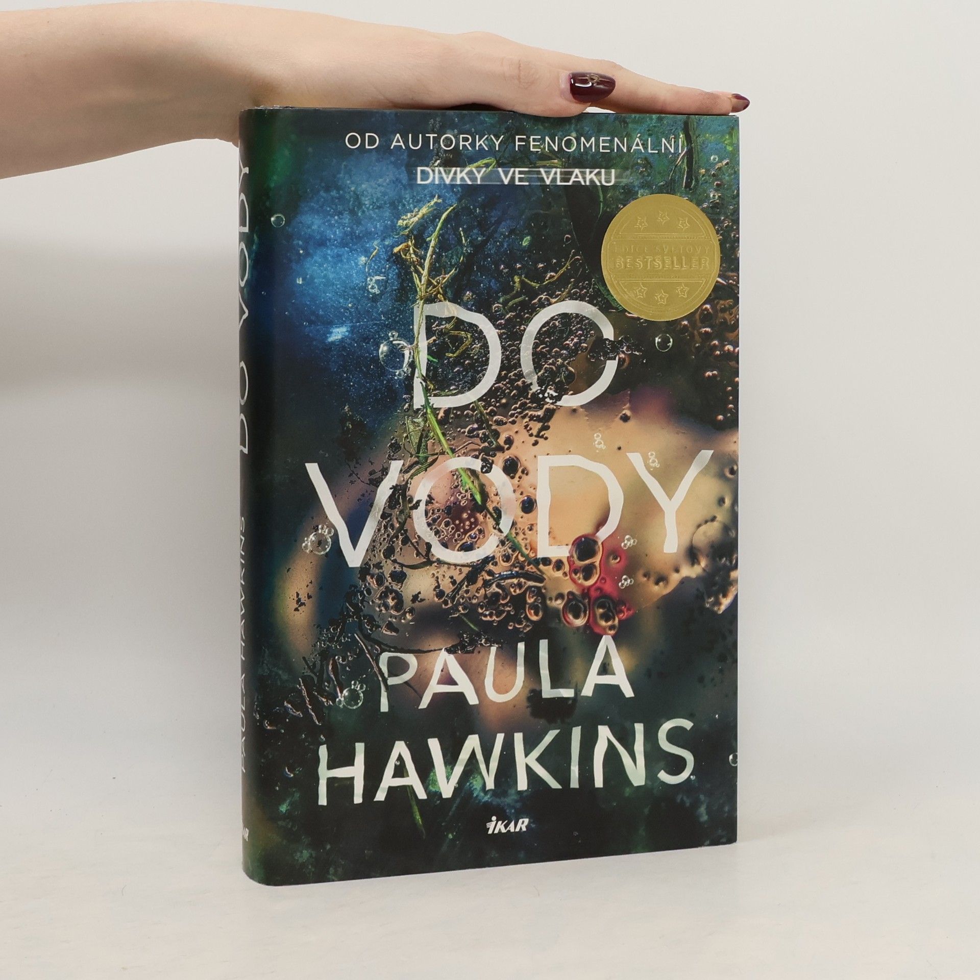 Paula Hawkins Do vody