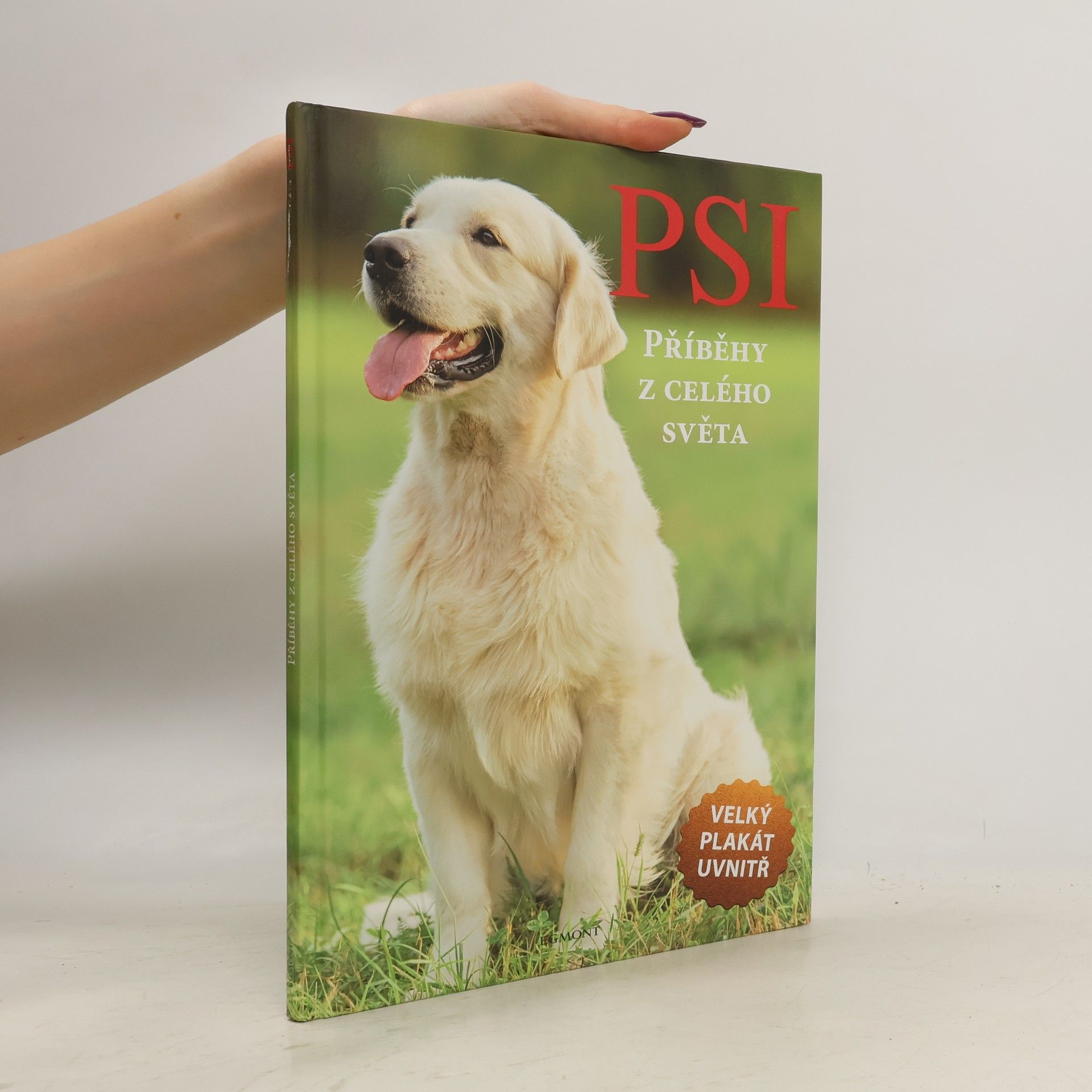 Barbora Pokorná Psi : příběhy z celého světa