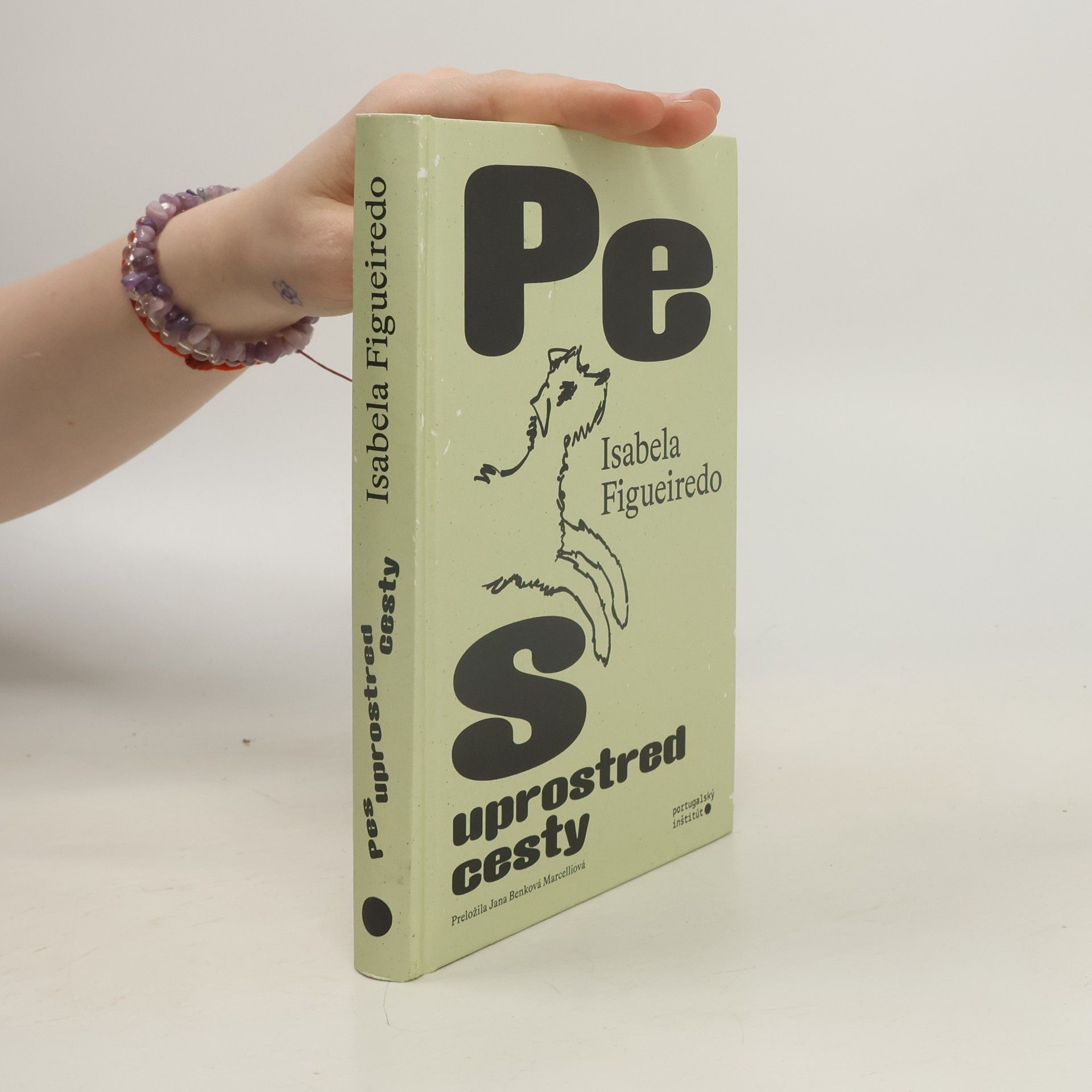 Isabela Figueiredo Pes uprostred cesty