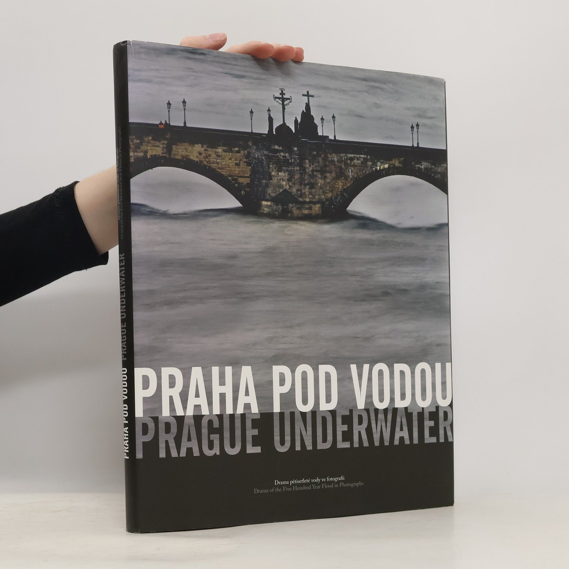 Daniela Mrázková Praha pod vodou: Drama pětisetleté vody ve fotografii = Prague underwater: Drama of the five hundred year flood in photographs