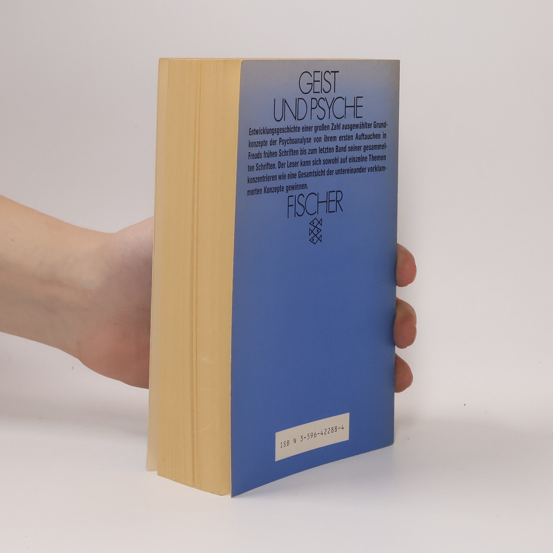 Humberto Nagera Psychoanalytische Grundbegriffe