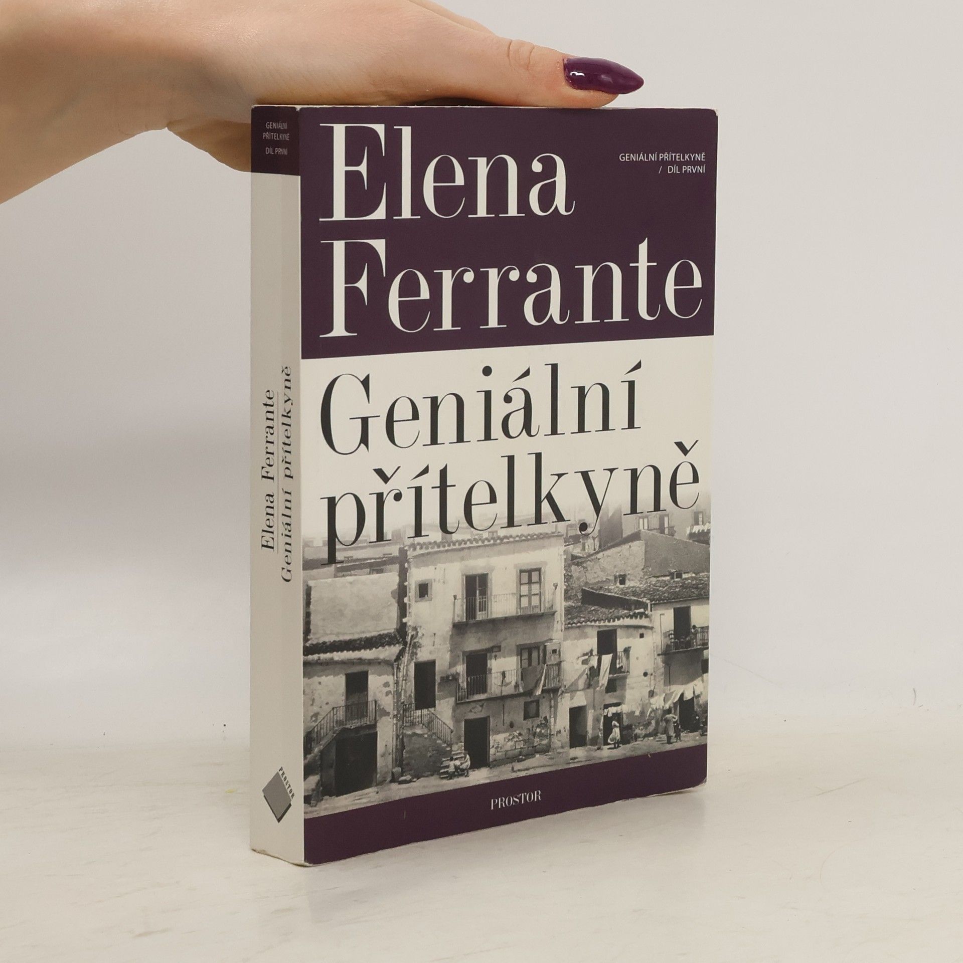 Elena Ferrante Geniální přítelkyně 1. Dětství a dospívání