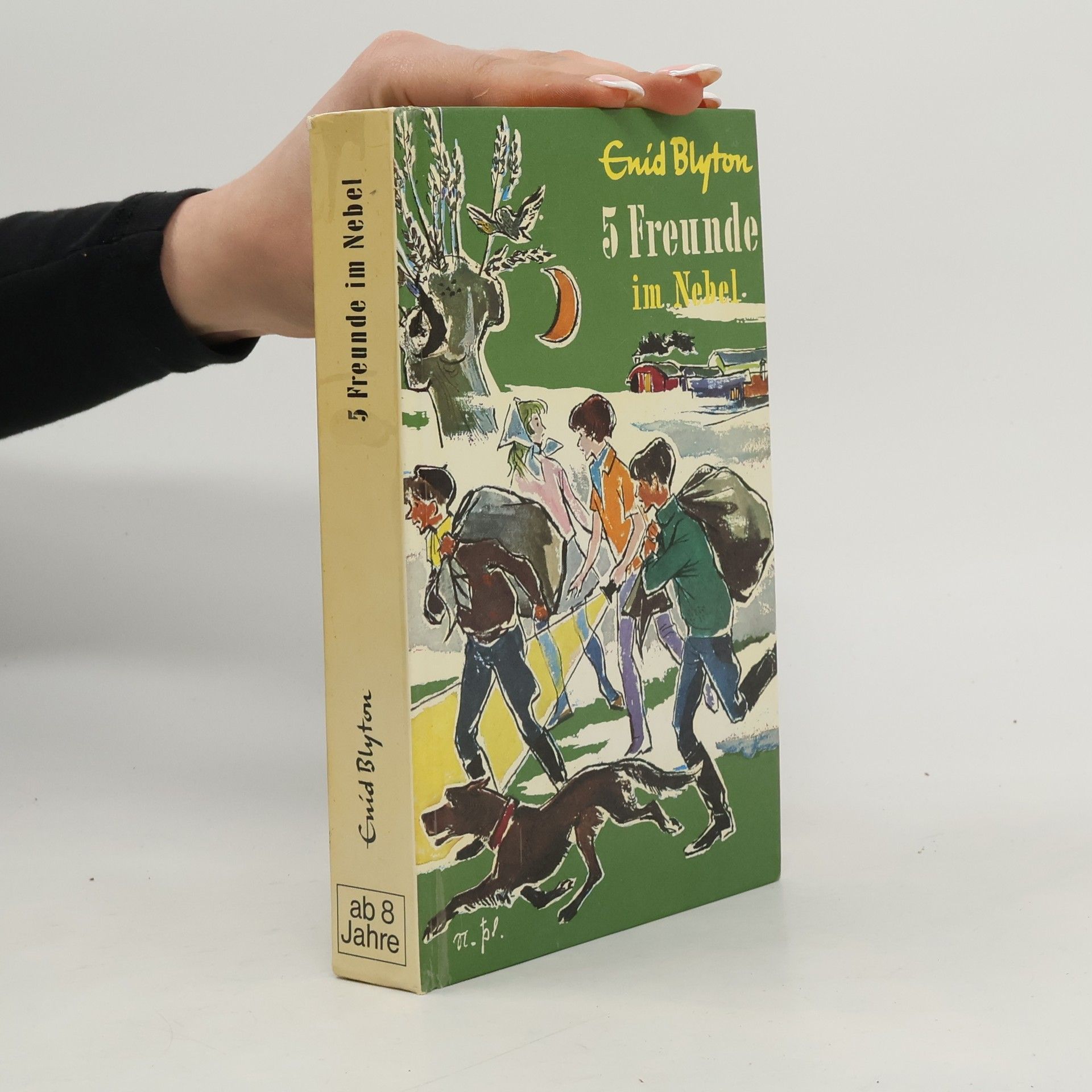 Enid Blyton 5 Freunde als Retter in der Not