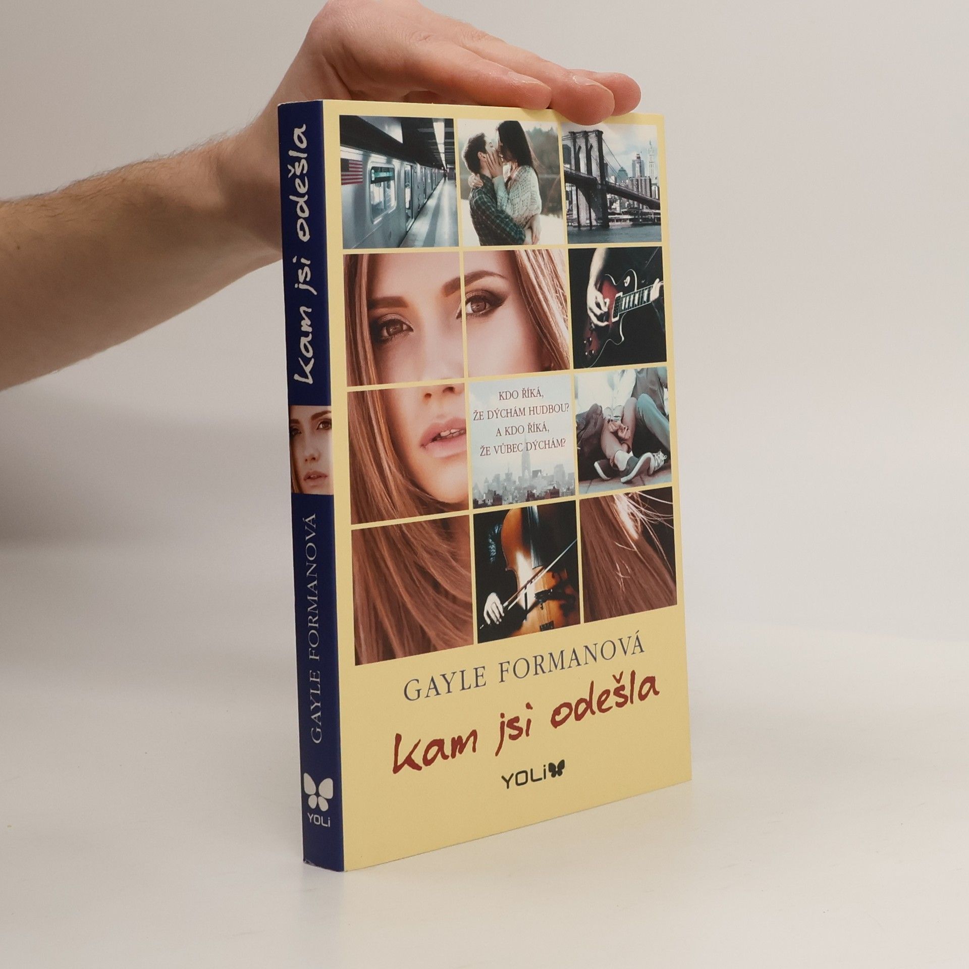 Gayle Forman Kam jsi odešla