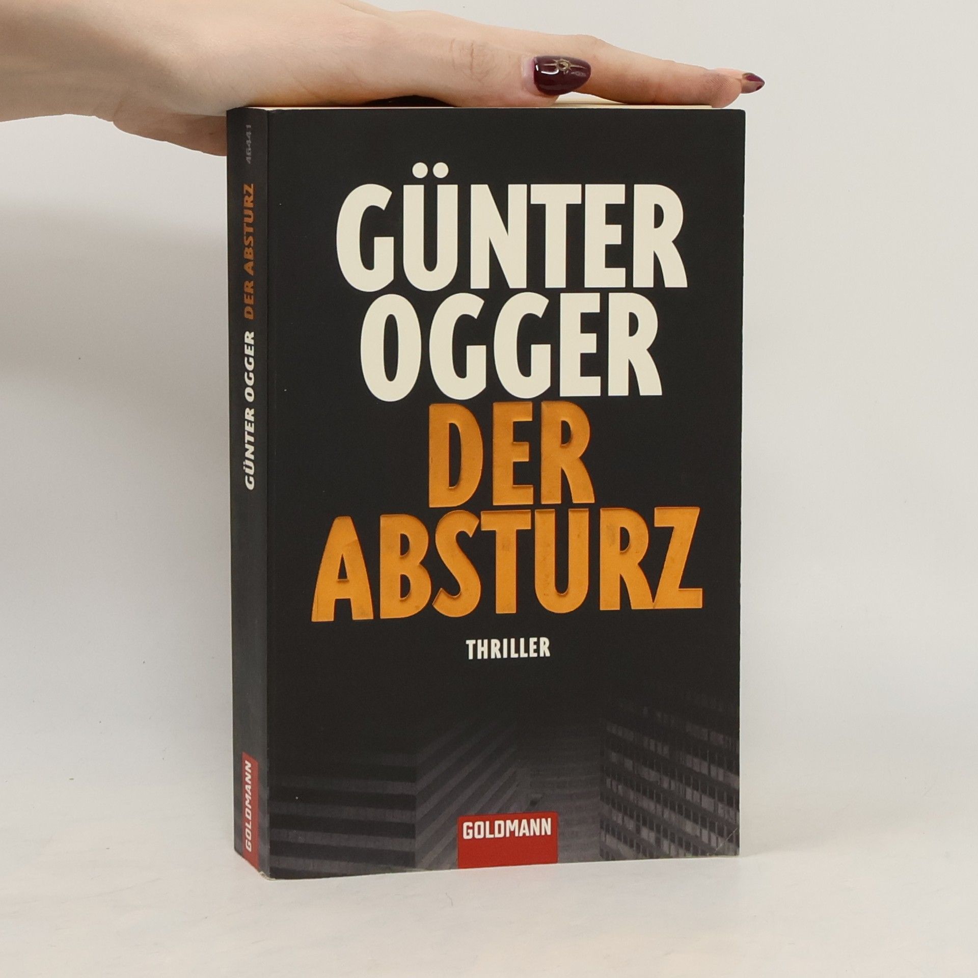 Günter Ogger Der Absturz