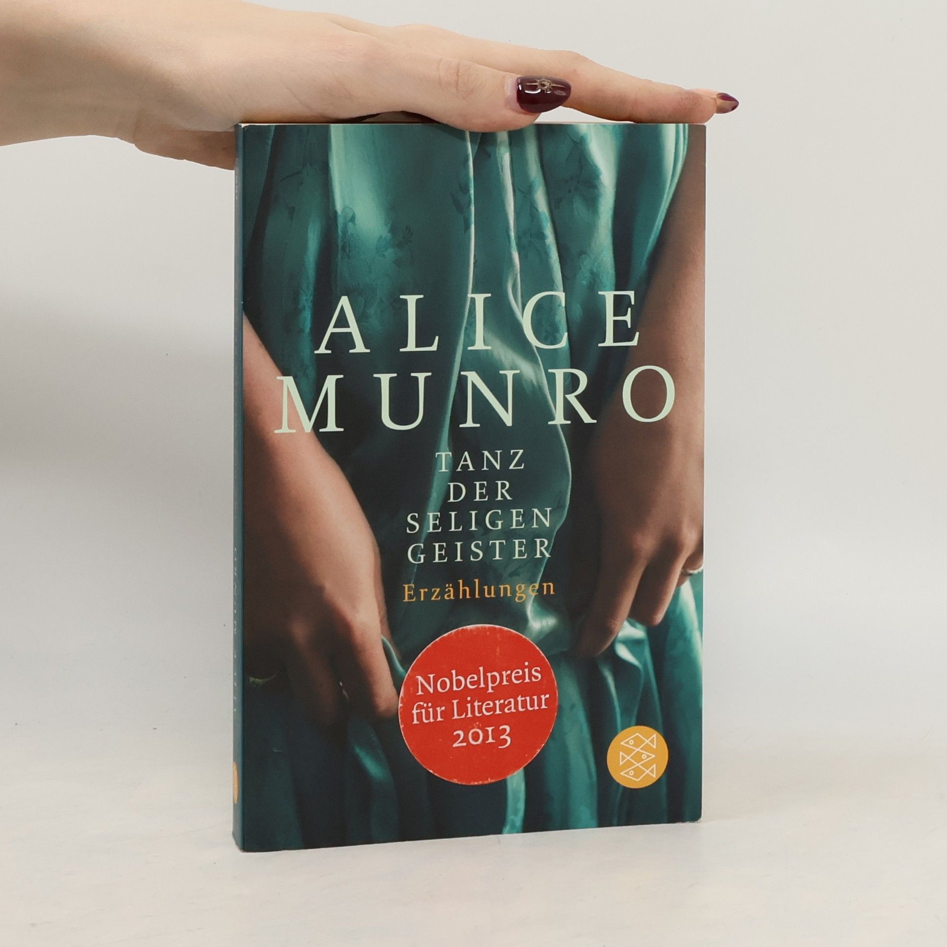 Alice Munro Tanz der seligen Geister