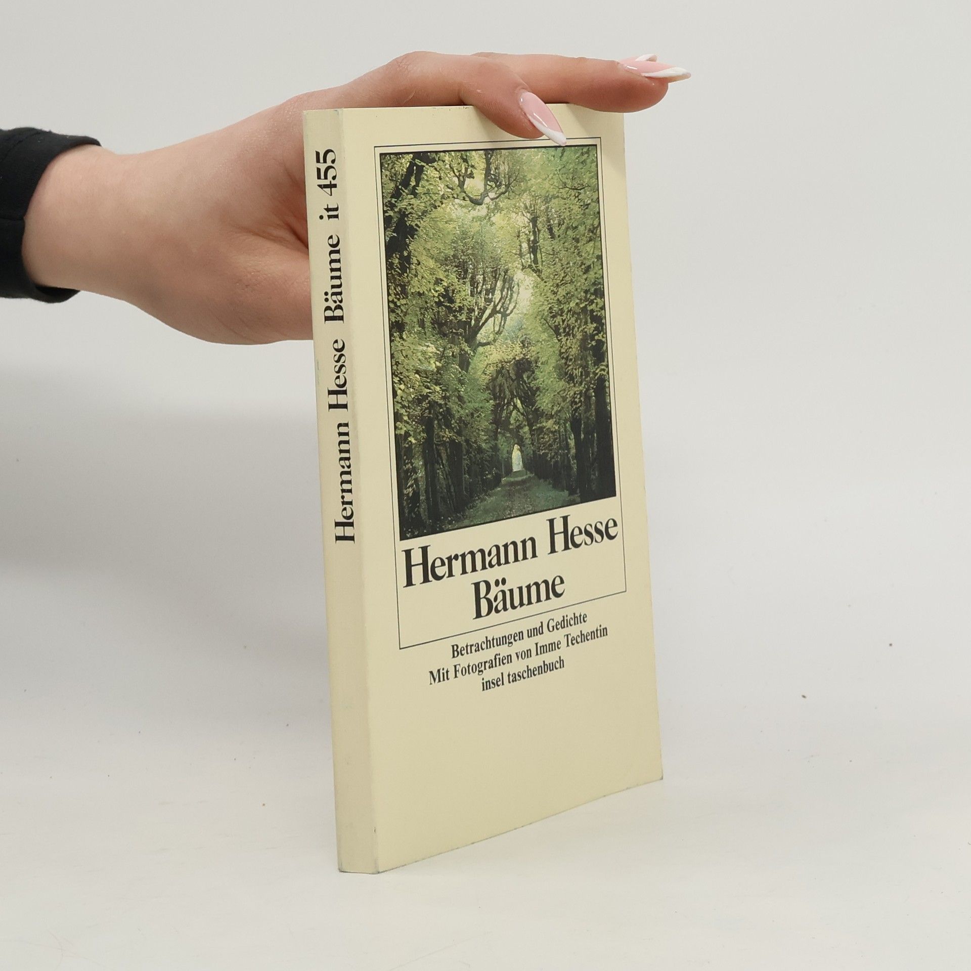 Hermann Hesse Bäume