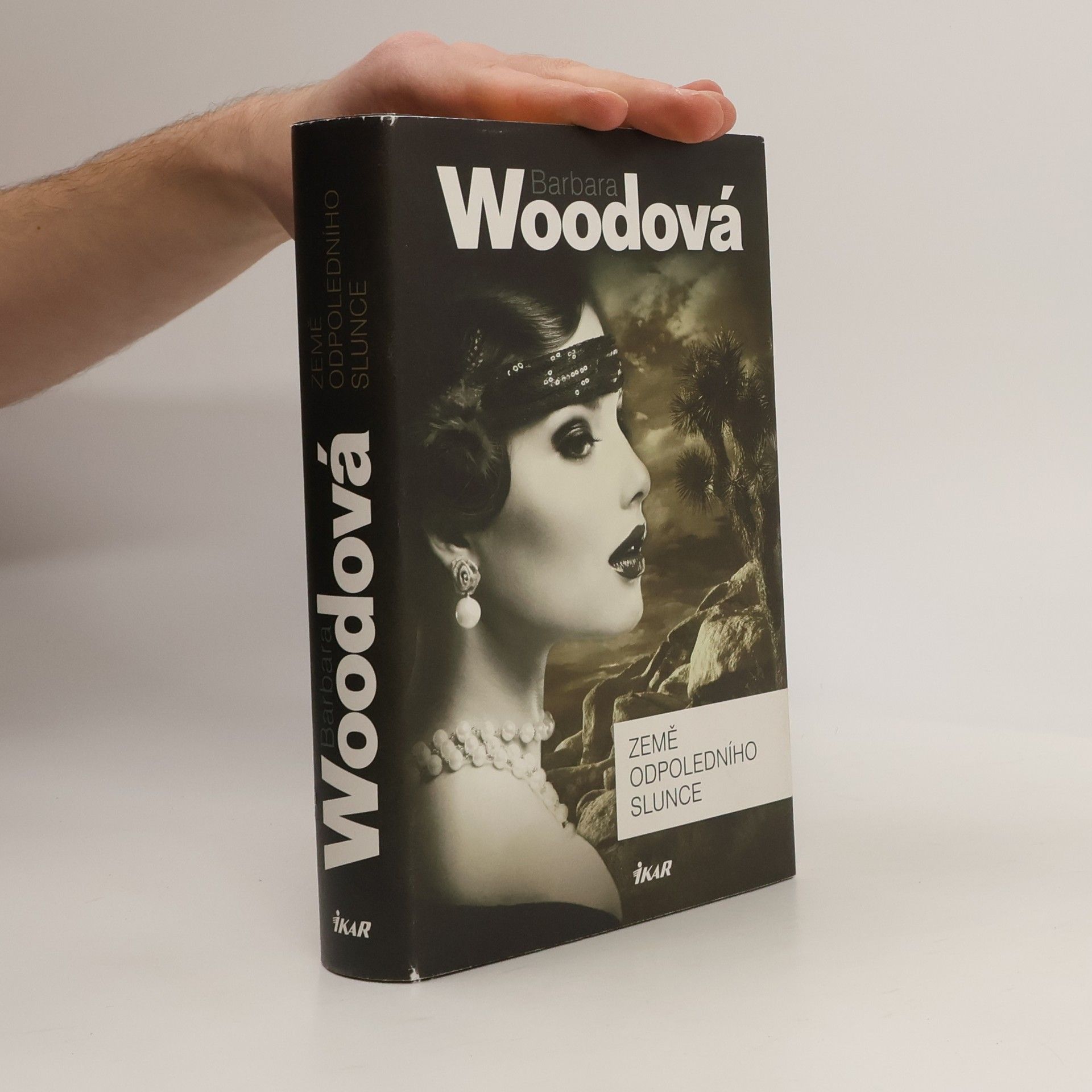 Barbara Wood Země odpoledního slunce