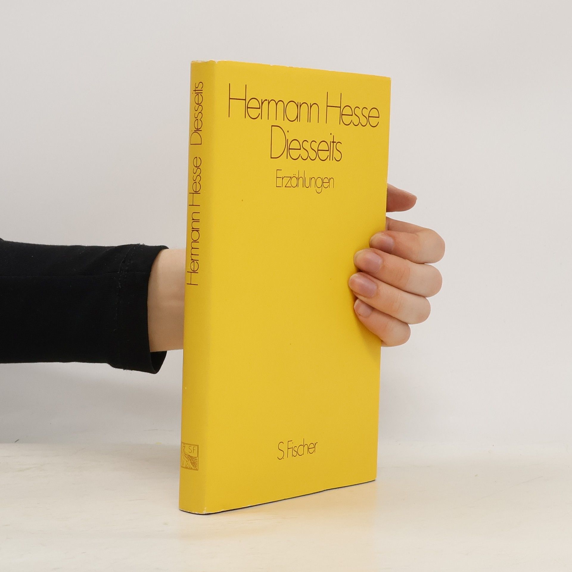 Hermann Hesse Diesseits