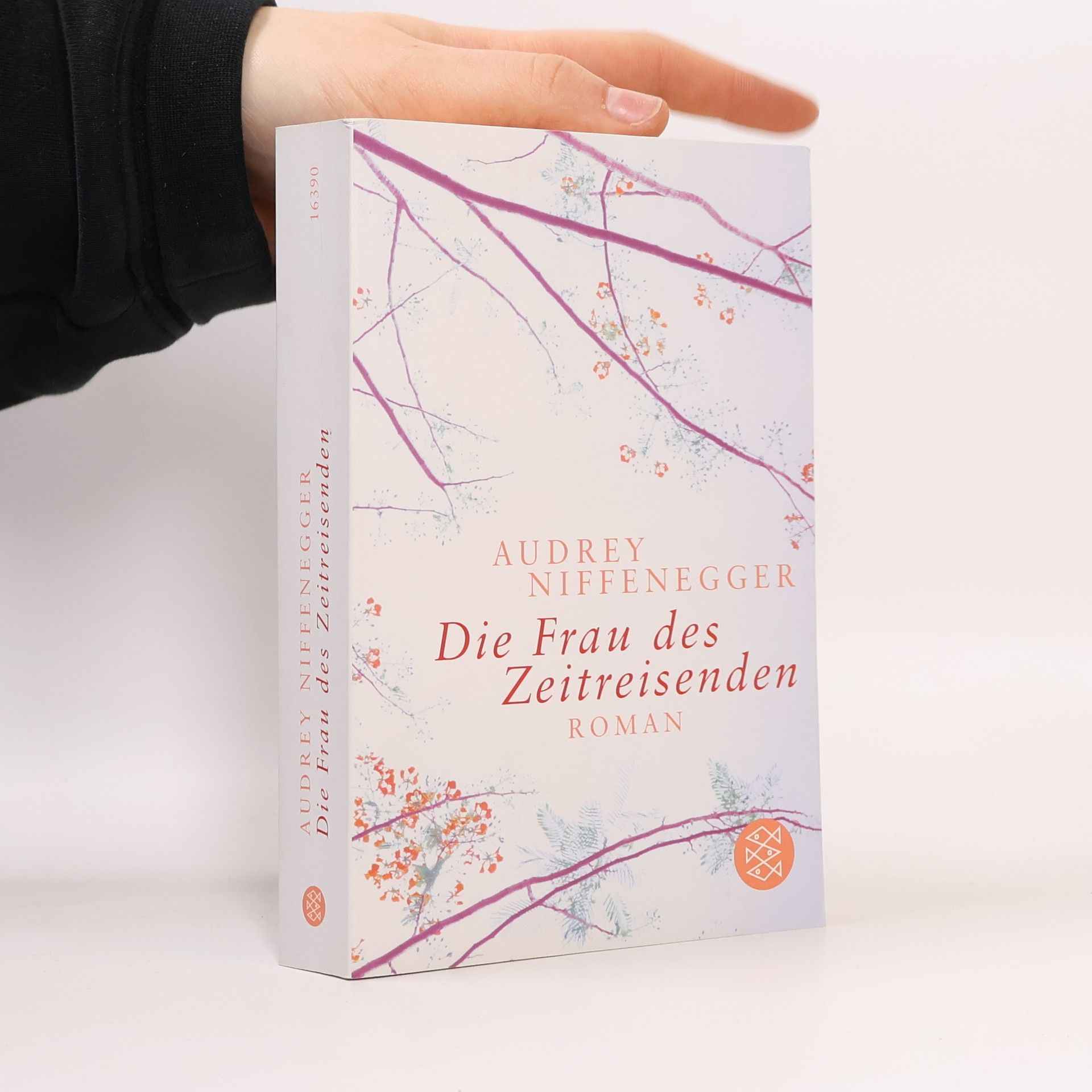 Audrey Niffenegger Die Frau des Zeitreisenden