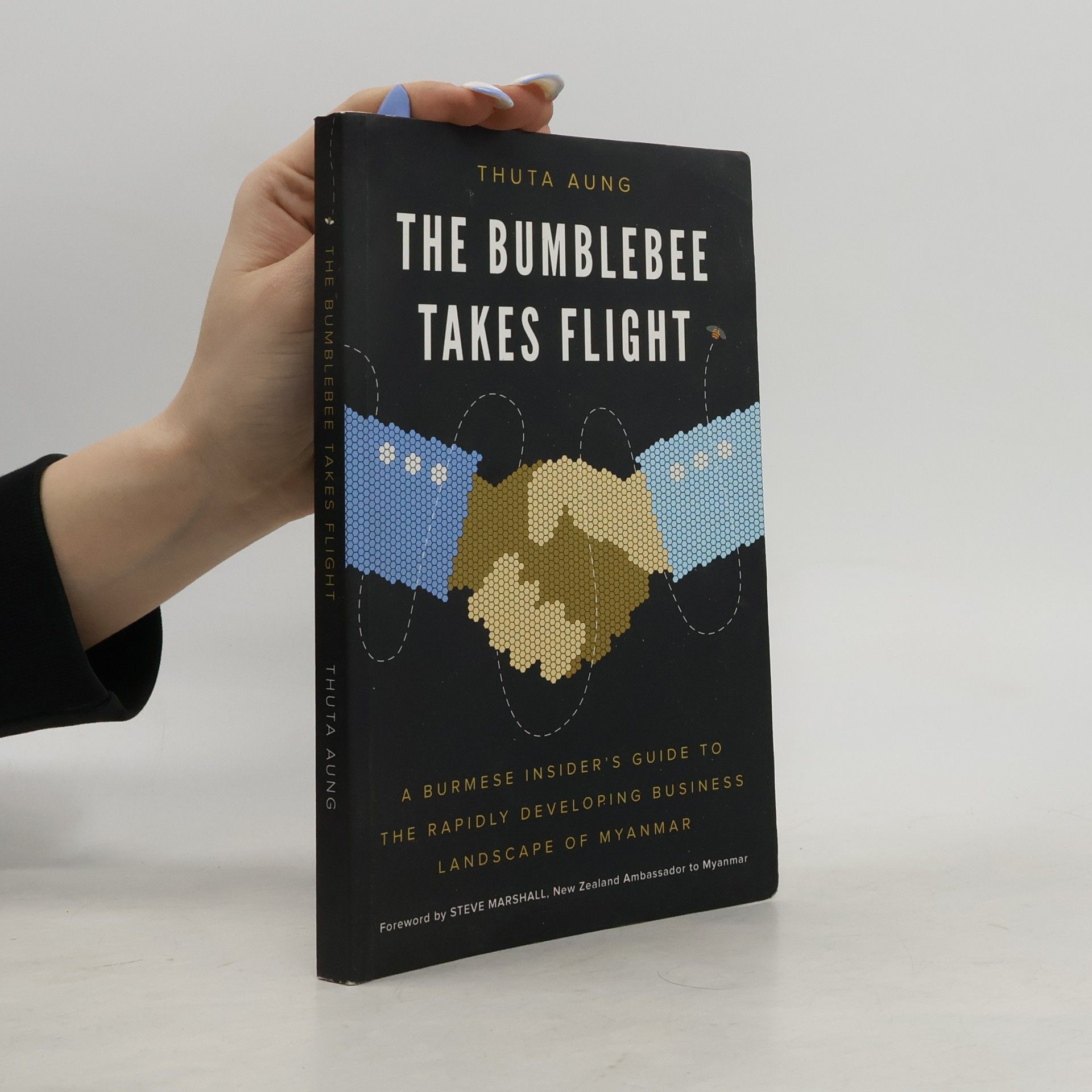 Thuta Aung The Bumblebee Takes Flight