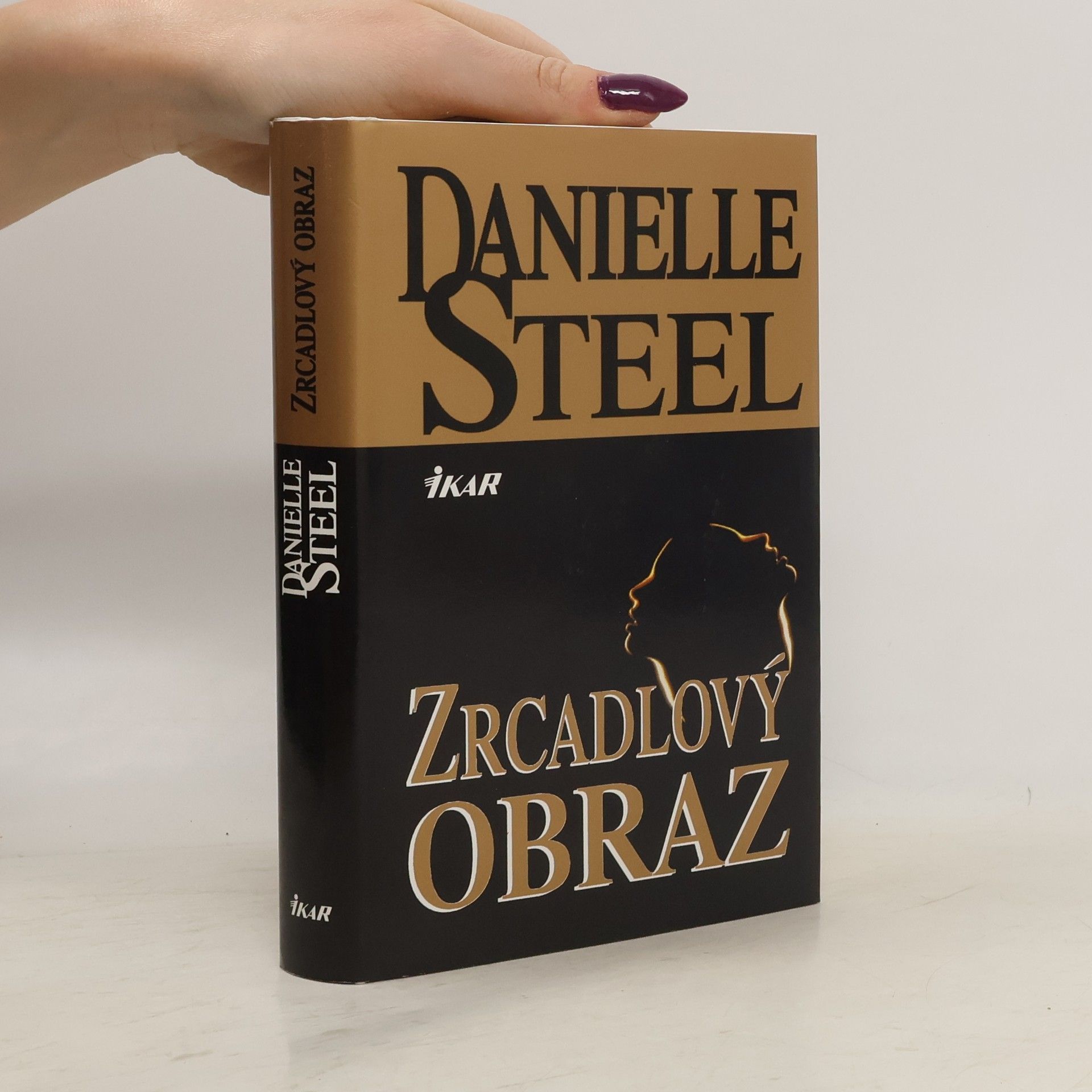 Danielle Steel Zrcadlový obraz