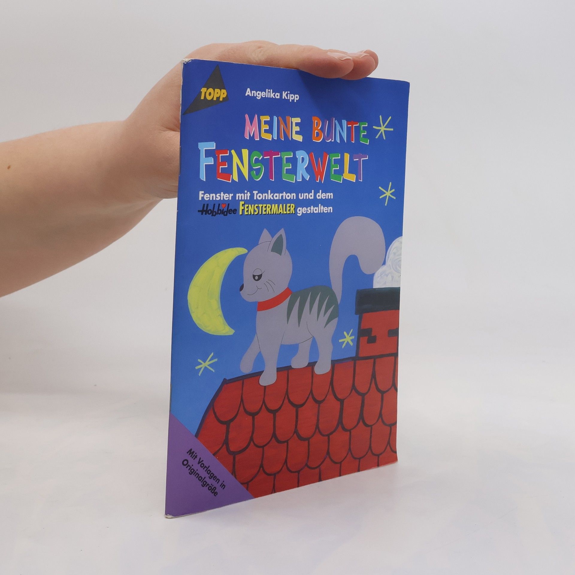 Angelika Kipp Meine bunte Fensterwelt