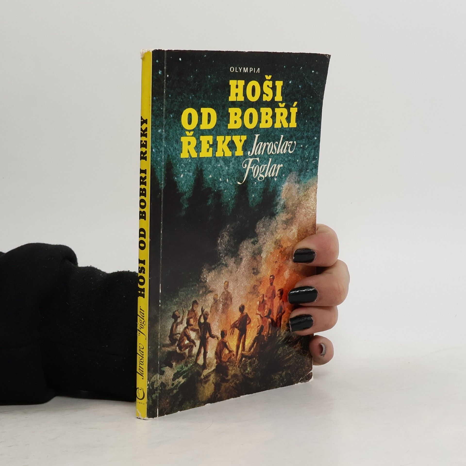 Jaroslav Foglar Hoši od Bobří řeky